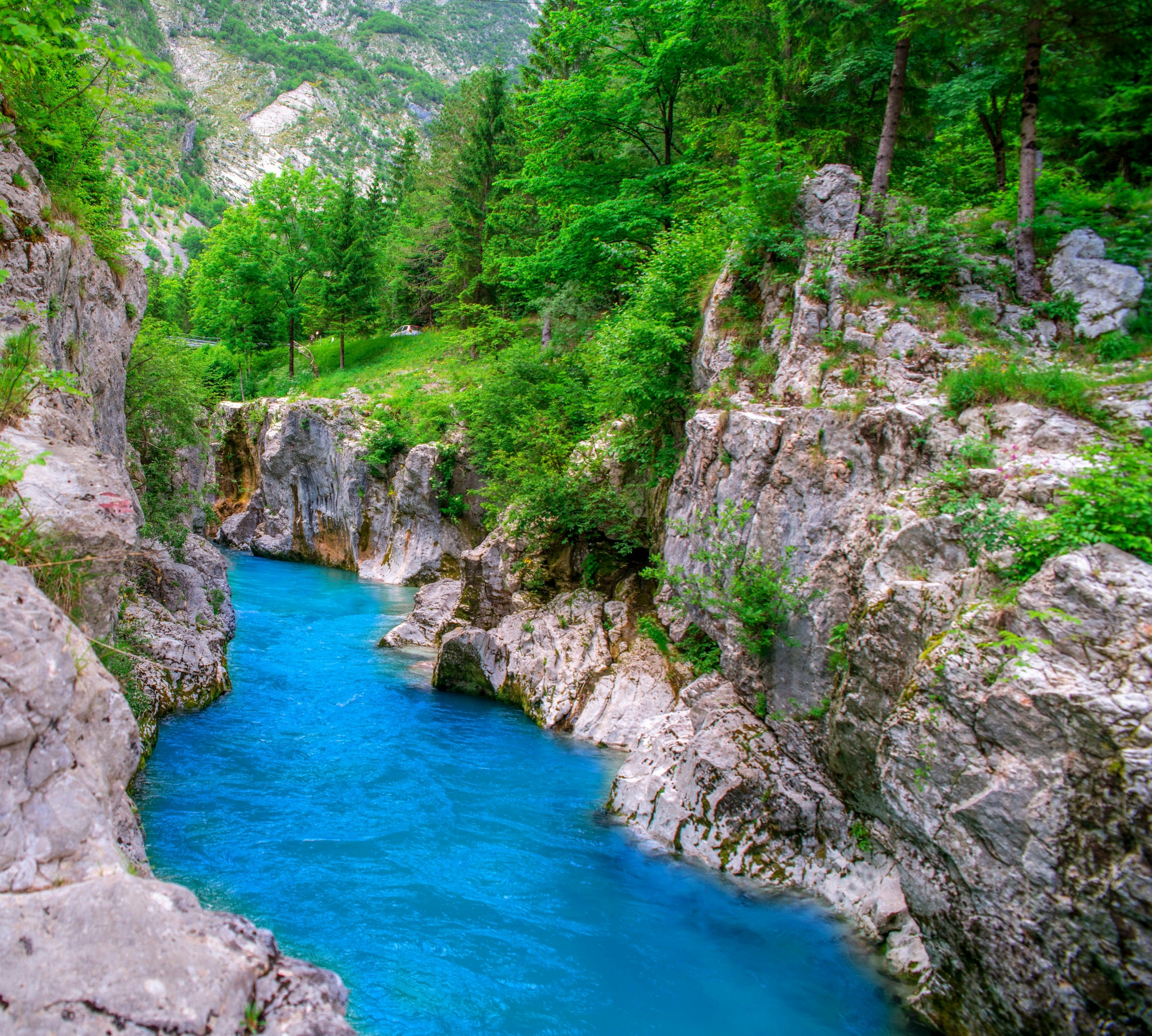 A bright blue pool within a river that is flowing between rocky cliffs topped with bright green evergreen trees.