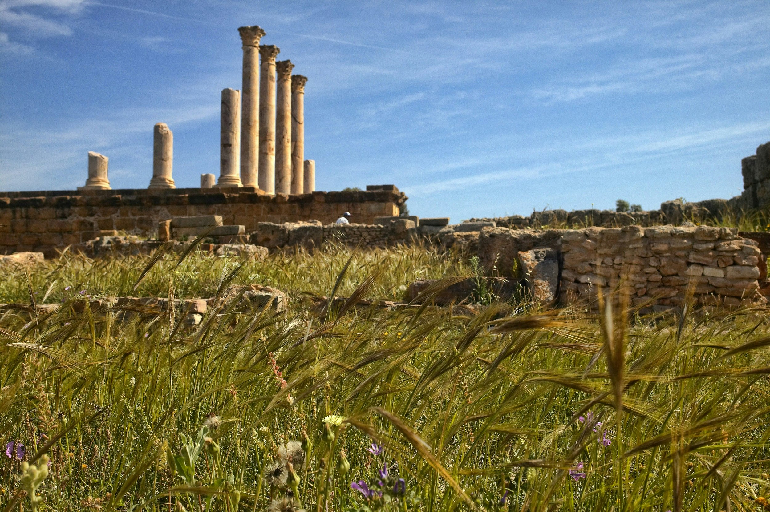 In the foreground are long grasses and wildflowers; in the background are stone foundations and a row of stone Roman columns, only four of which reach full height.