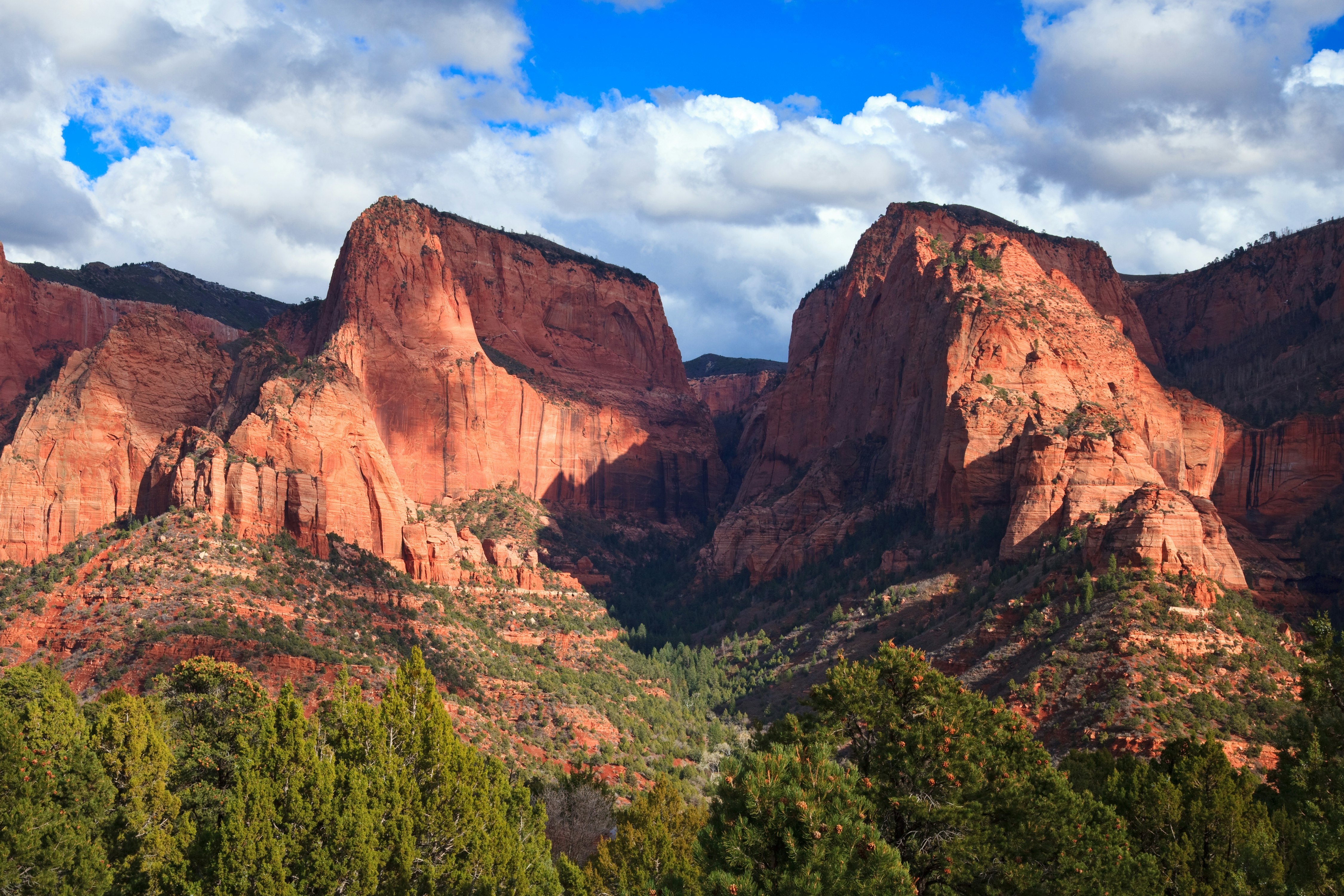 A red-rock mountain, with green trees below and blue skies above