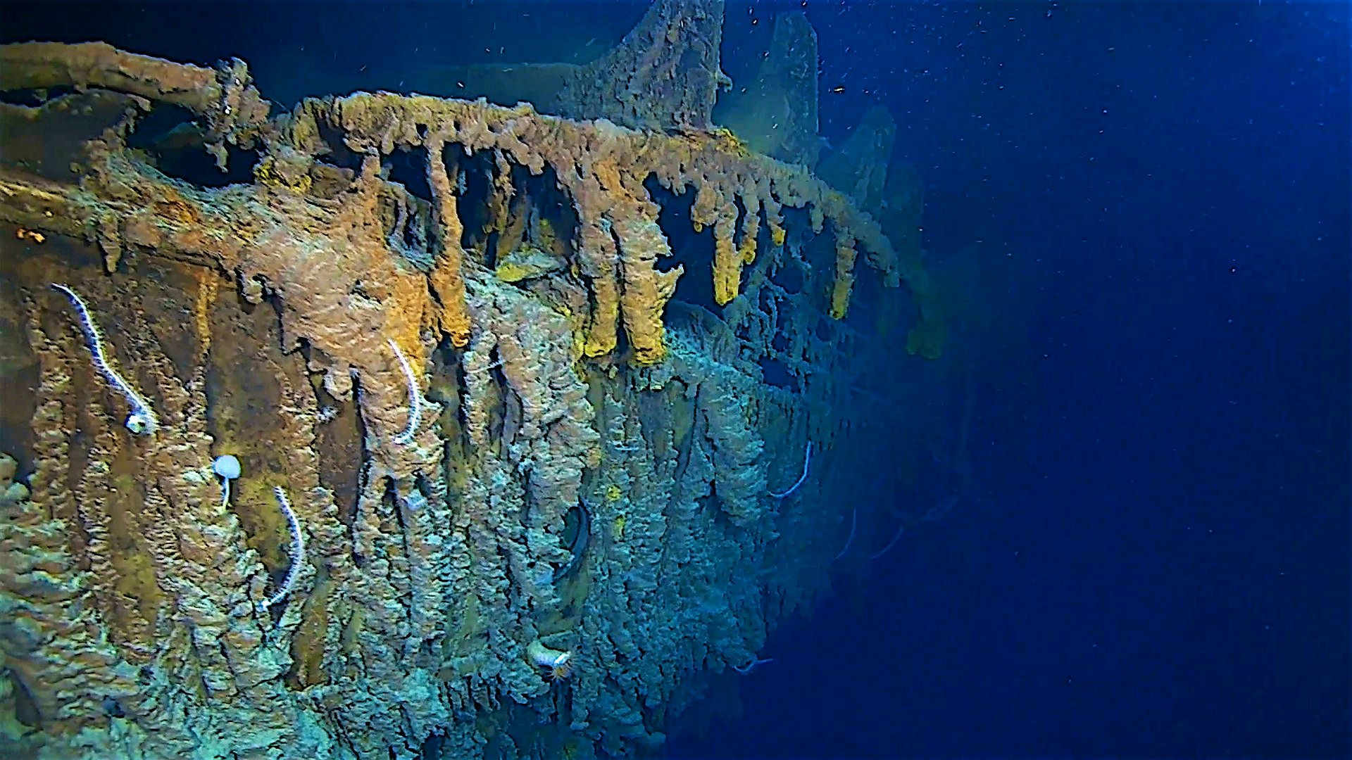 A view of the Titanic wreck taken 