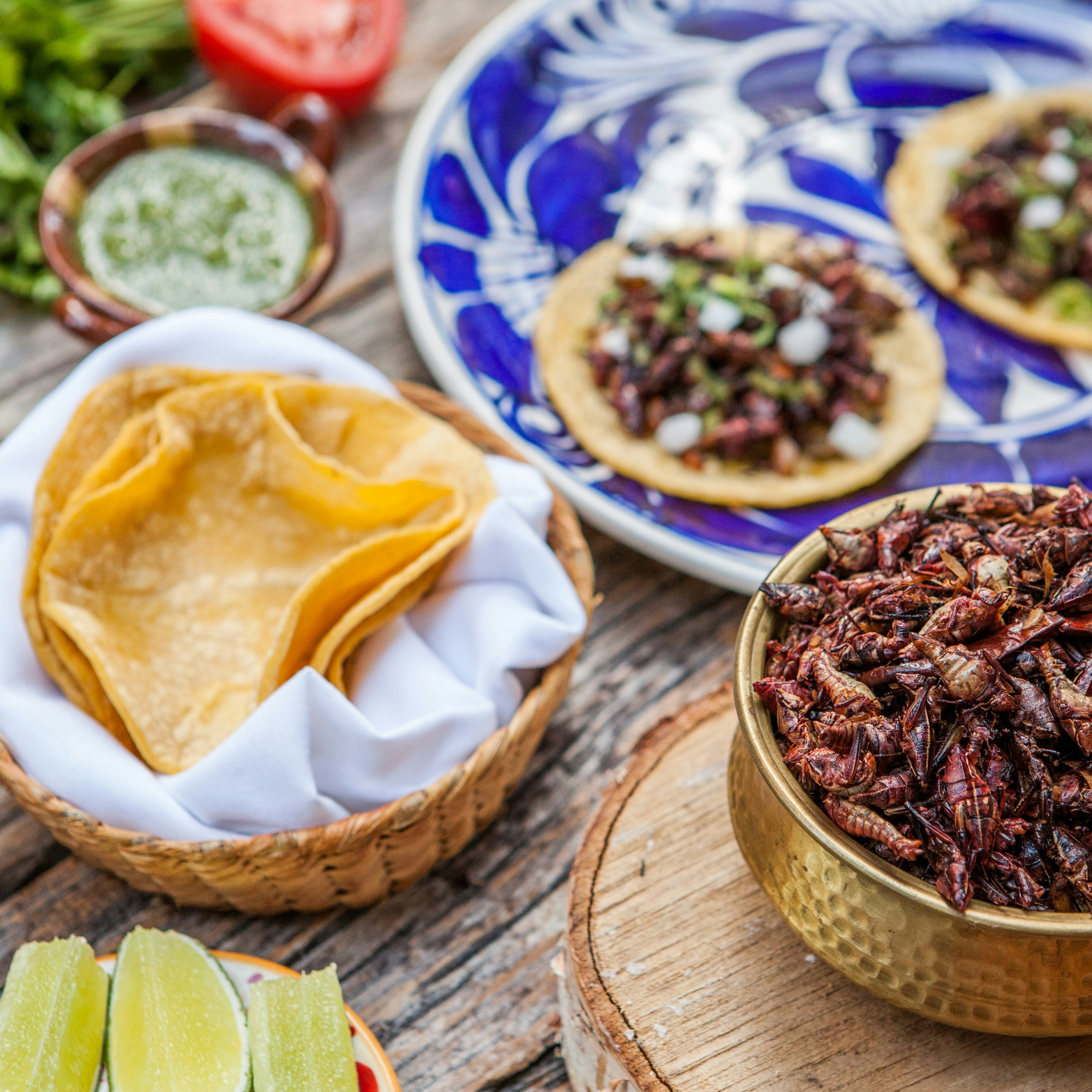 Large Mexican food spread containing corn tortillas, dried chillies, slices of lime, a small ceramic jar of green sauce, a basket full of cooke grasshoppers and two fully assembled tacos on a large blue and white plate 