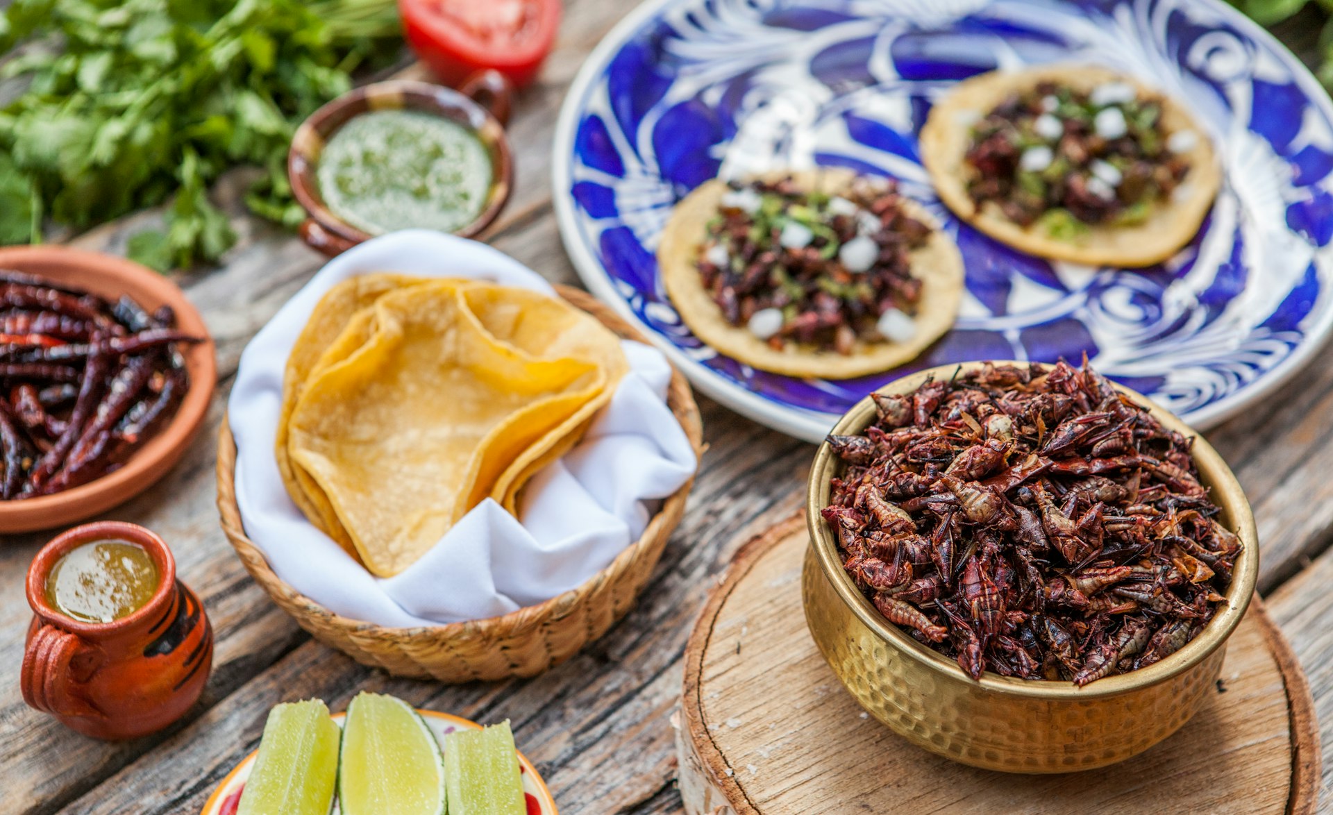 Large Mexican food spread containing corn tortillas, dried chillies, slices of lime, a small ceramic jar of green sauce, a basket full of cooked grasshoppers and two fully assembled tacos on a large blue and white plate 