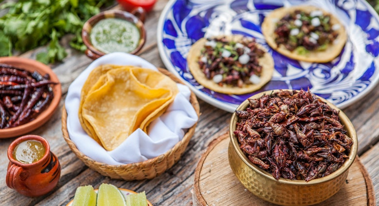 Large Mexican food spread containing corn tortillas, dried chillies, slices of lime, a small ceramic jar of green sauce, a basket full of cooke grasshoppers and two fully assembled tacos on a large blue and white plate