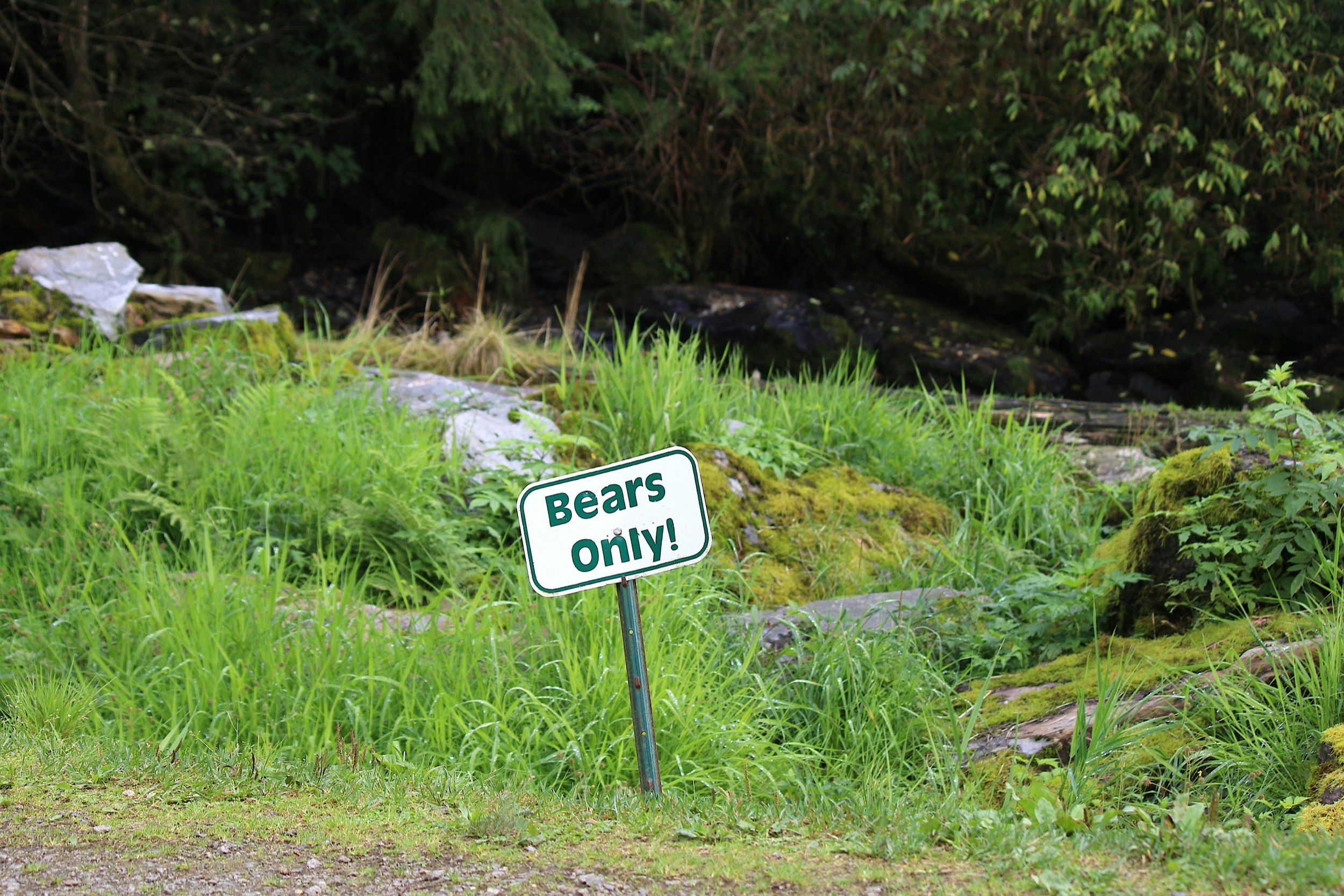 A sign reading Bears Only marks a place where people are trying to minimize mankind's impact in Alaska's Tongass National Forest