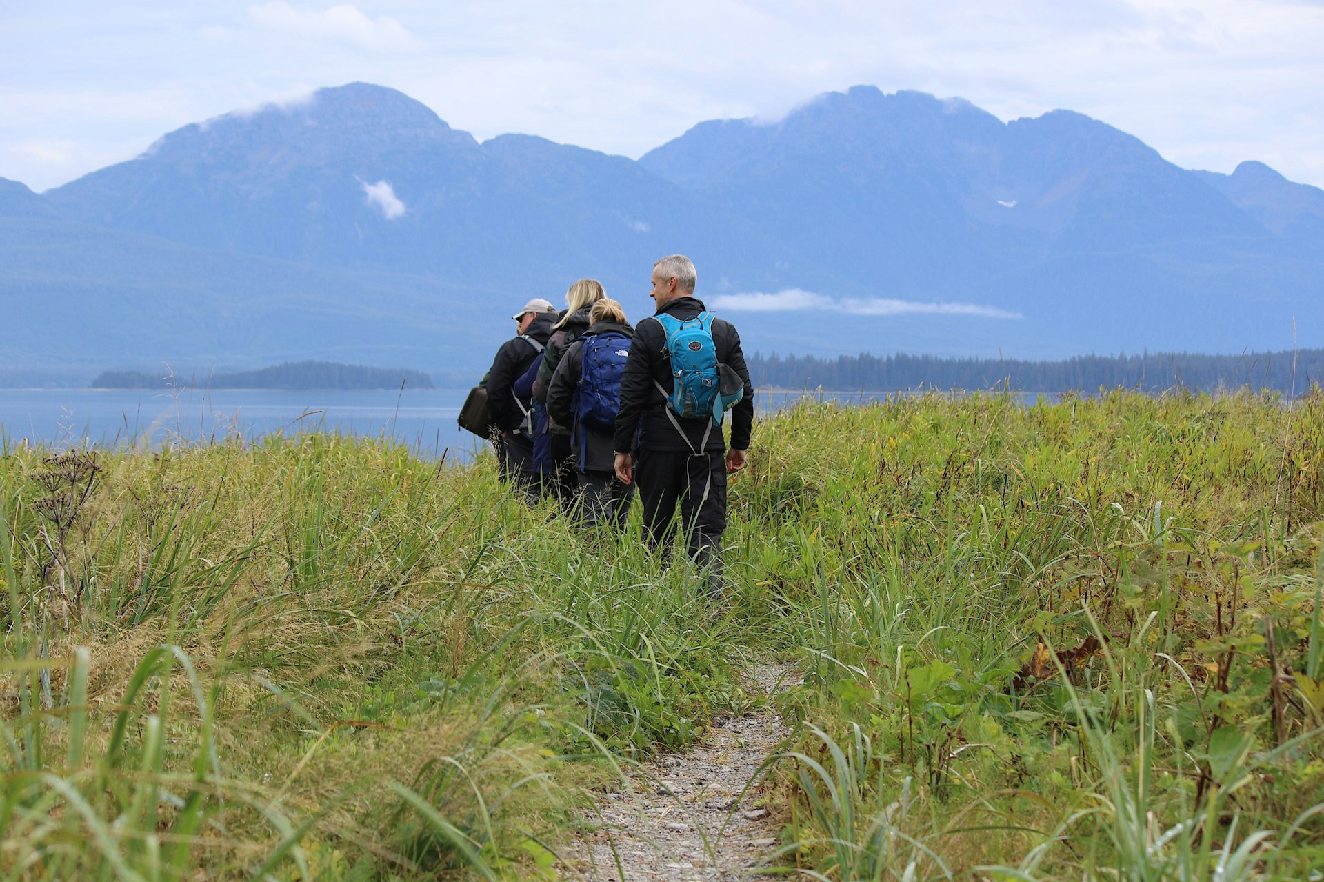 A group of people walk through knee-high grass in Alaska's Tongass National Park