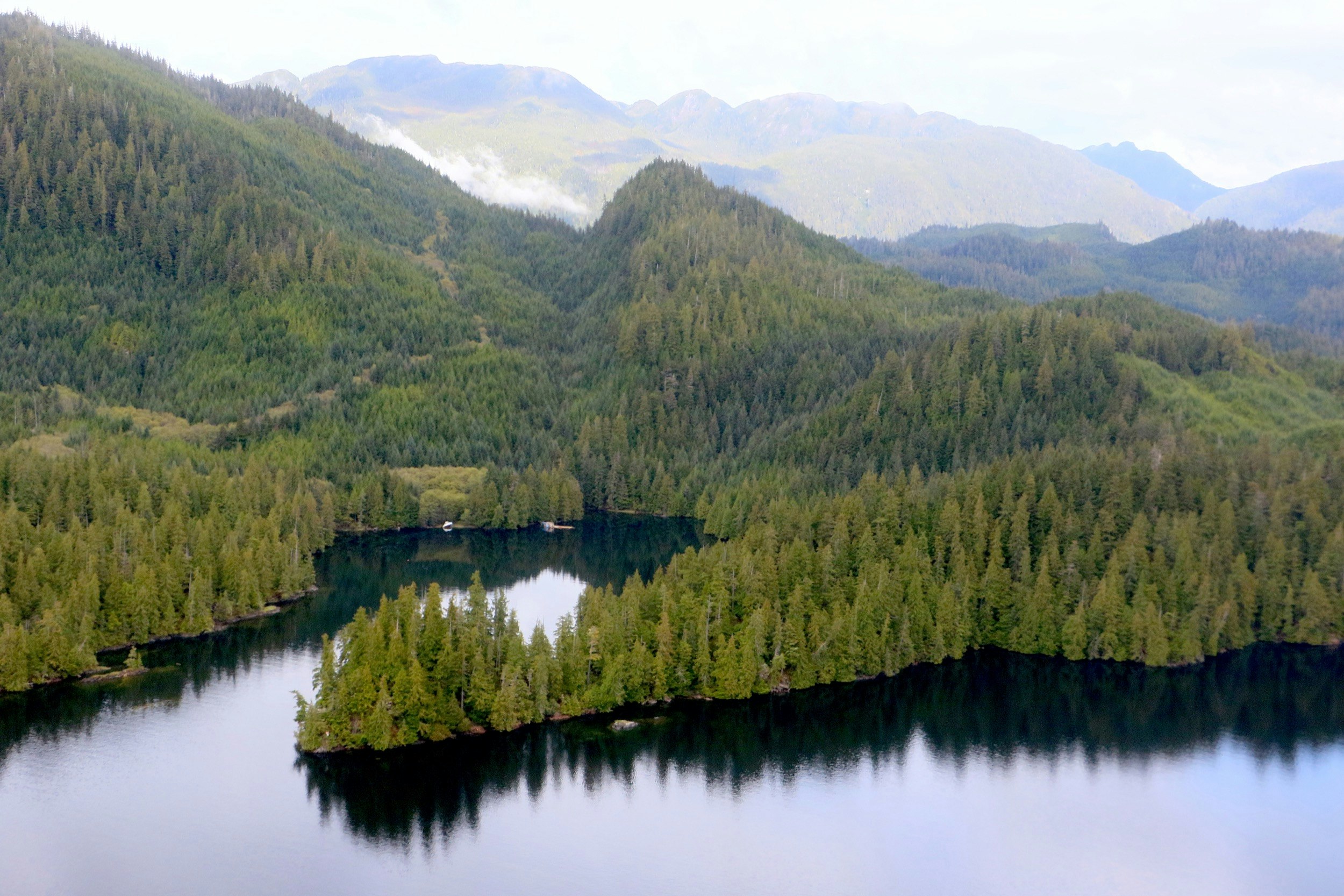 Looking down on a woodland fjord in Alaska's Tongass National Forest
