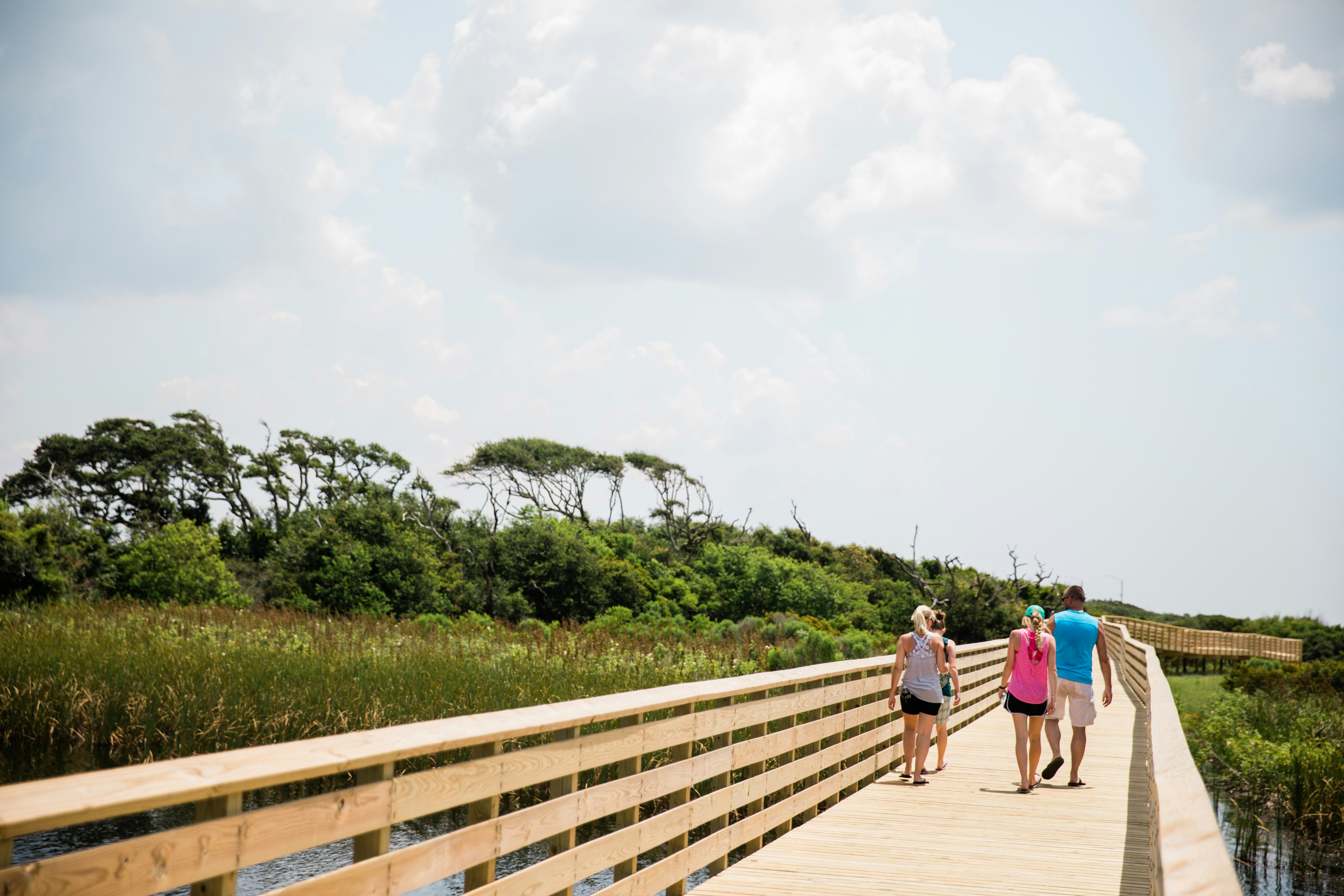 A group of people walk along a new boardwalk running over water and marshland. 