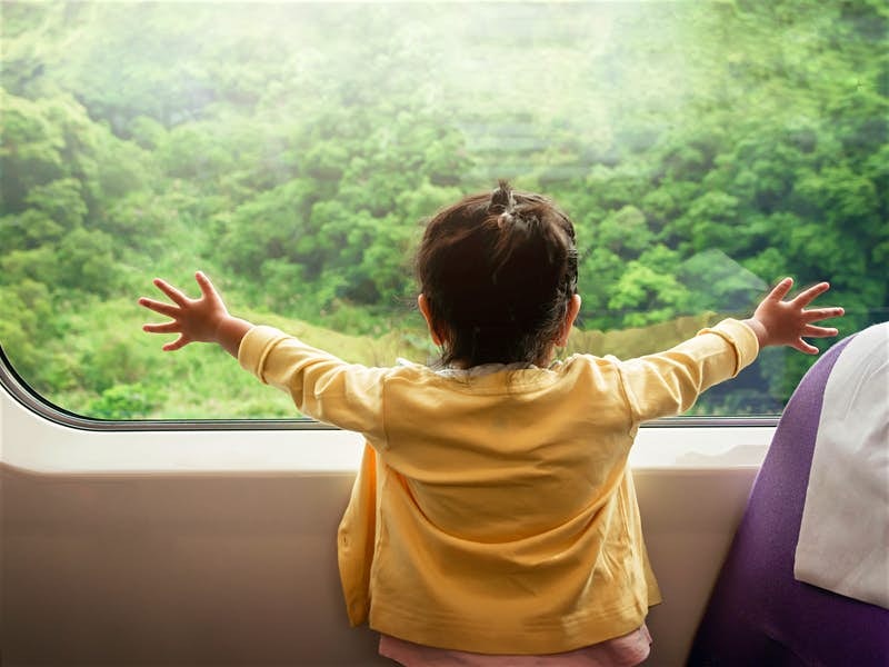 A child with its hands placed on the window of a train and looking out on green trees