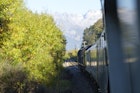TranzAlpine train, Arthur's Pass, New Zealand.jpg