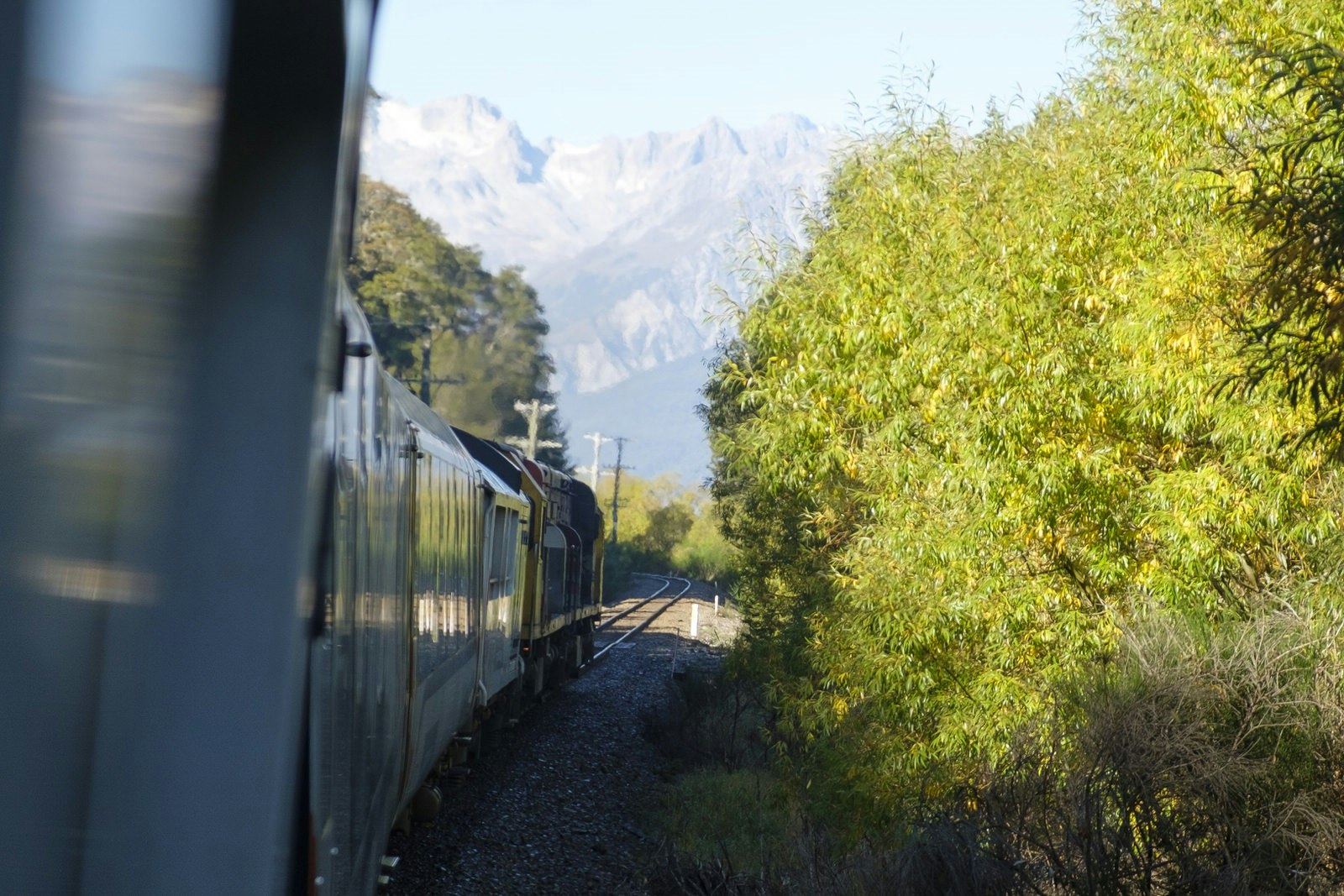 TranzAlpine train cutting through Arthur's Pass in New Zealand on a sunny day. There are green trees to the left of the train and snowy mountains in the far distance