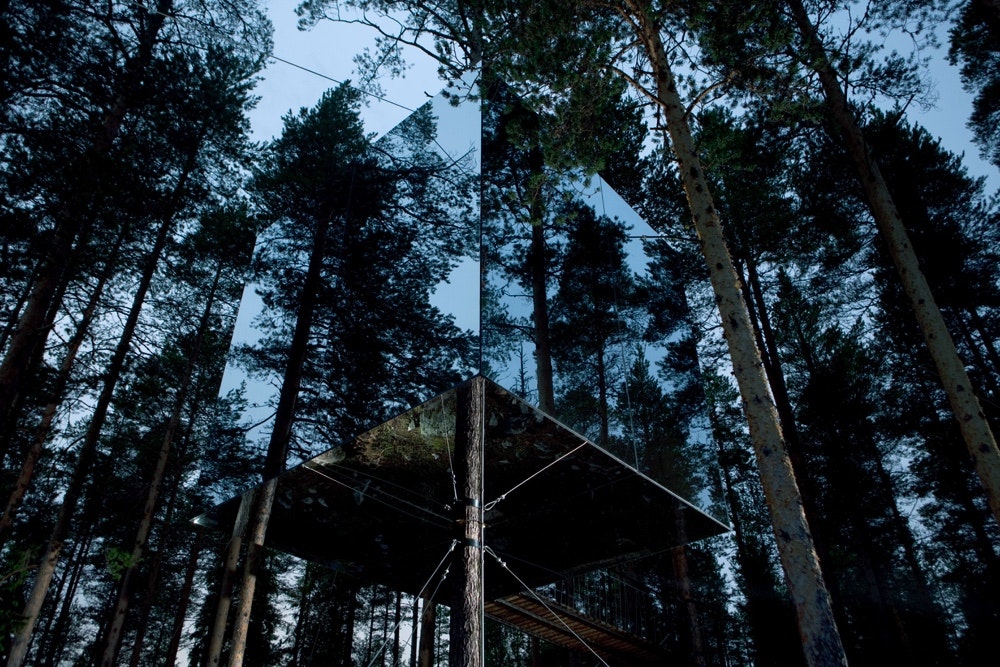 Looking up at tall pine trees in a forest; due to its mirrored exterior, it's not immediately obvious that there is a cube-shaped treehouse standing in a clearing, reflecting the wooded surrounds.