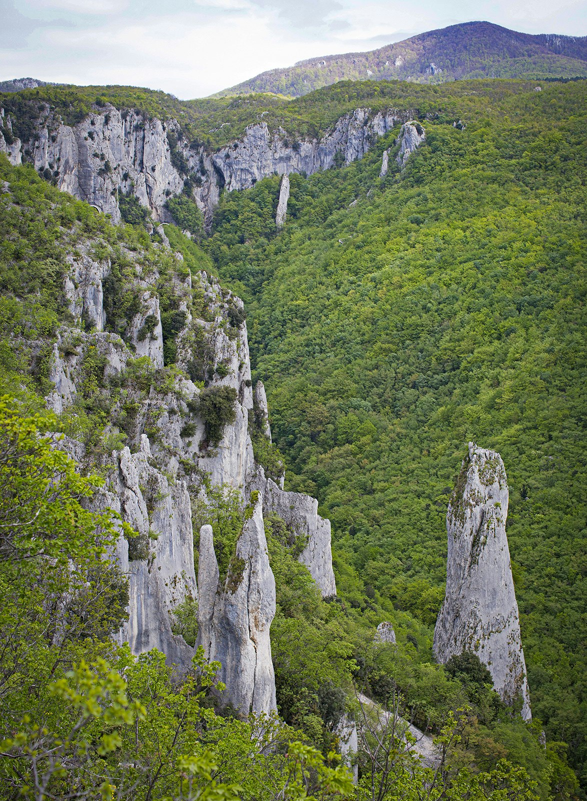An aerial view of a forested valley punctuated by grey cliffs. Kvarner Gulf.