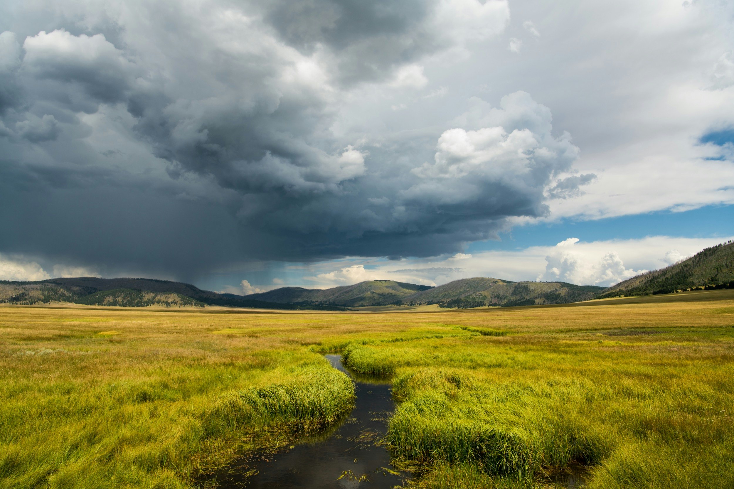 Storm over grasslands in Valles Caldera National Preserve, New Mexico