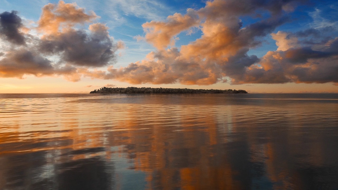 Vallisaari Island skyline, courtesy Helsinki Biennial.jpg