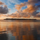 Vallisaari Island skyline, courtesy Helsinki Biennial.jpg