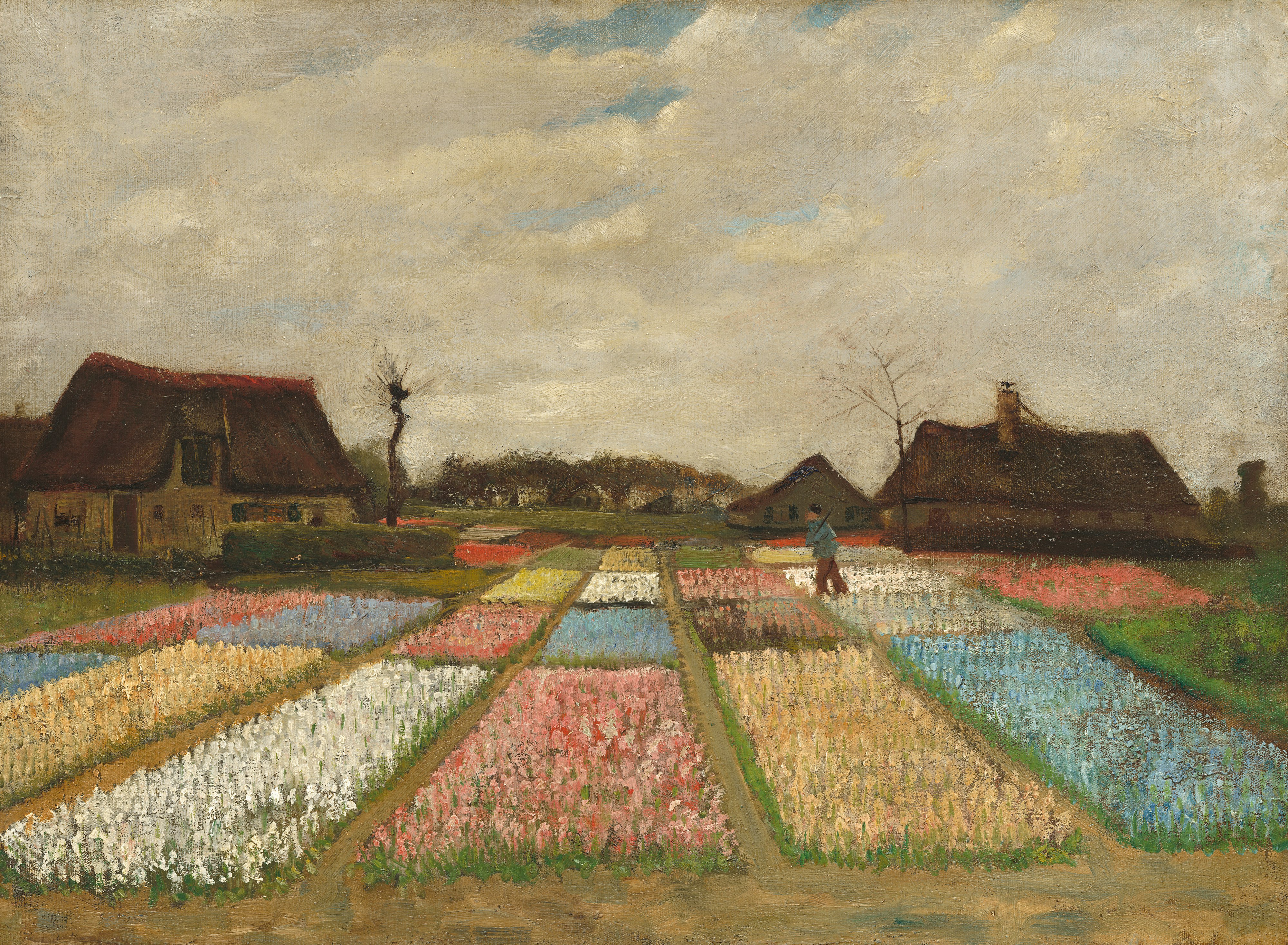 Van Gogh - Flower Beds in Holland.jpg