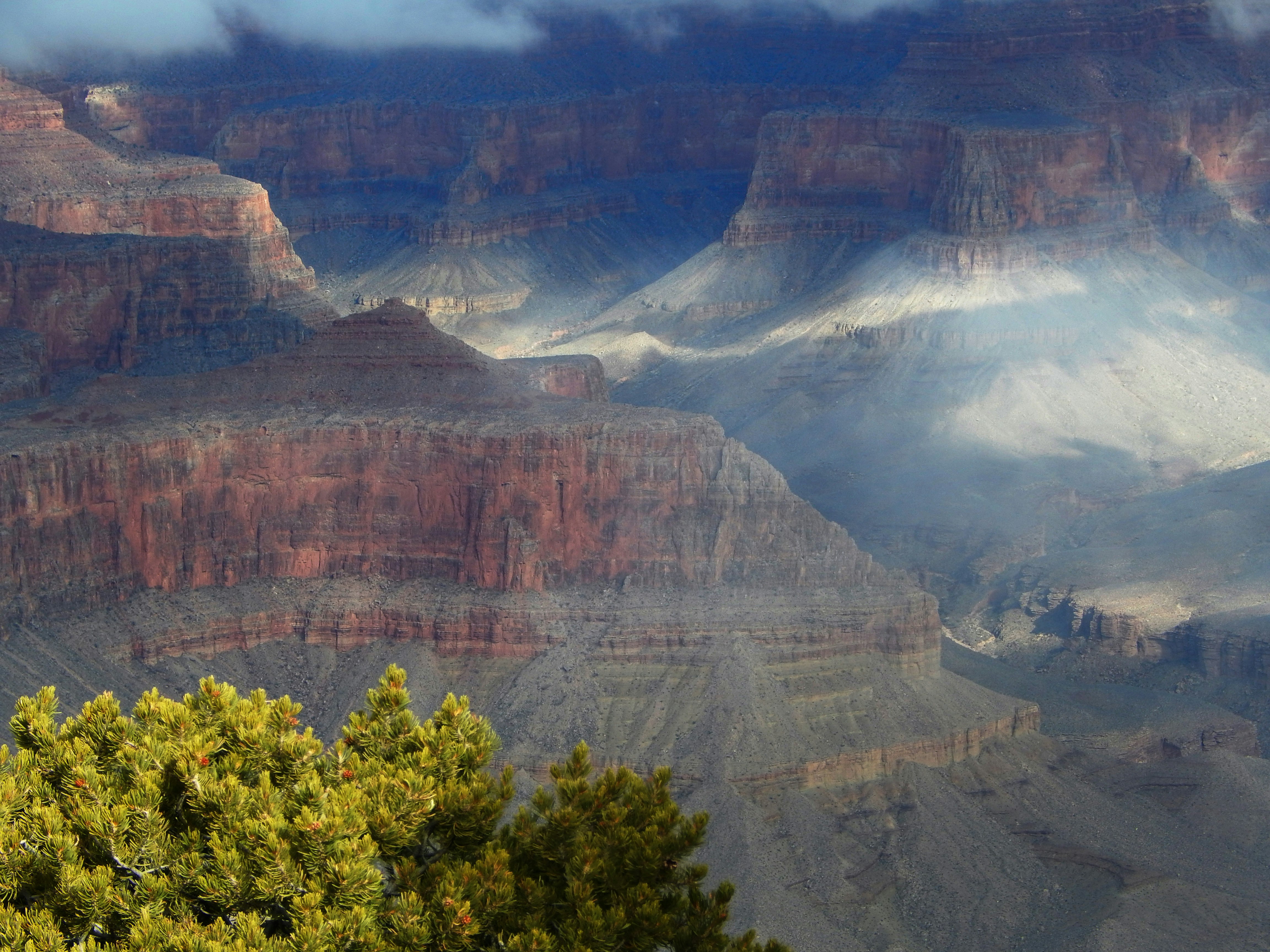 View From Grand Canyon Rim.Ann Nelson.JPG