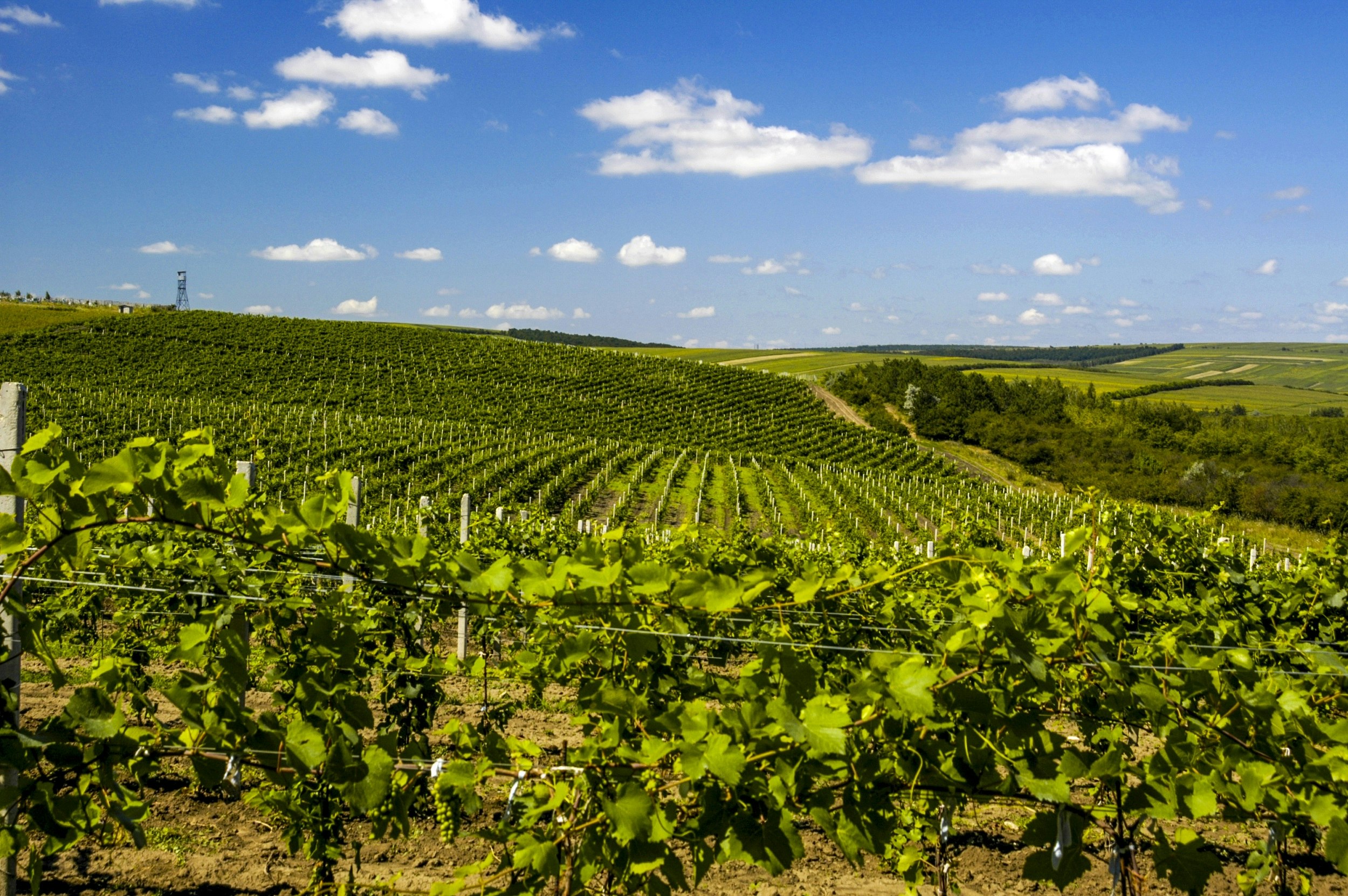 Following the secret Wine Routes of Moldova - Lonely Planet