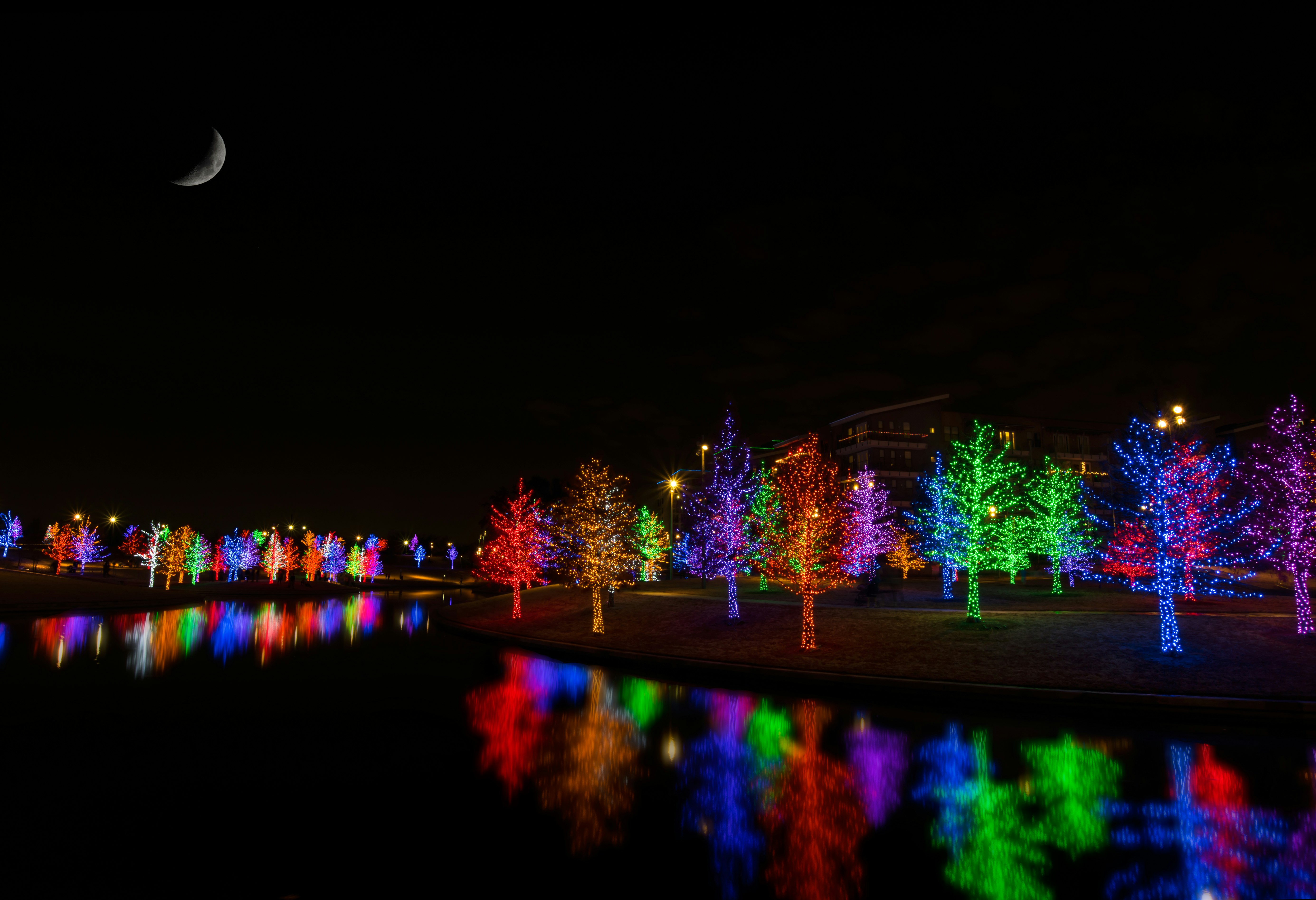 A group of trees scattered throughout the park are covered with bright, colorful Christmas lights; Thanksgiving NFL city 
