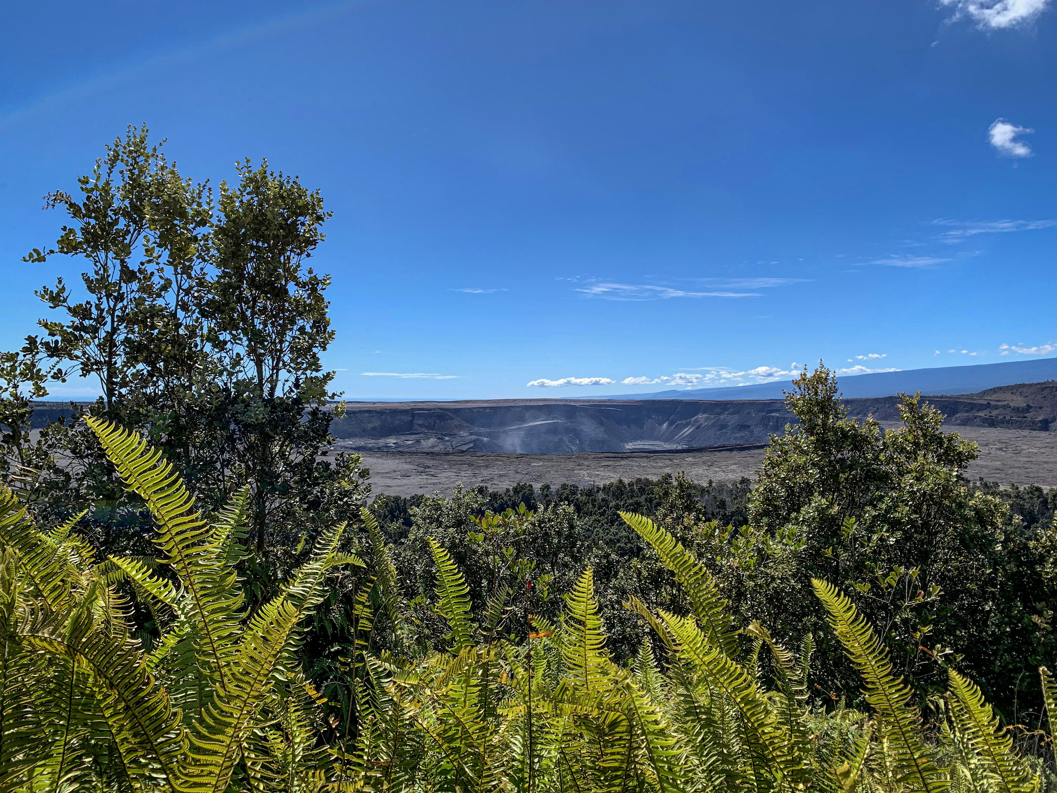 In the foreground are bright green ferns and trees, while steam rises from Kilauea Caldera is visible in the distance.