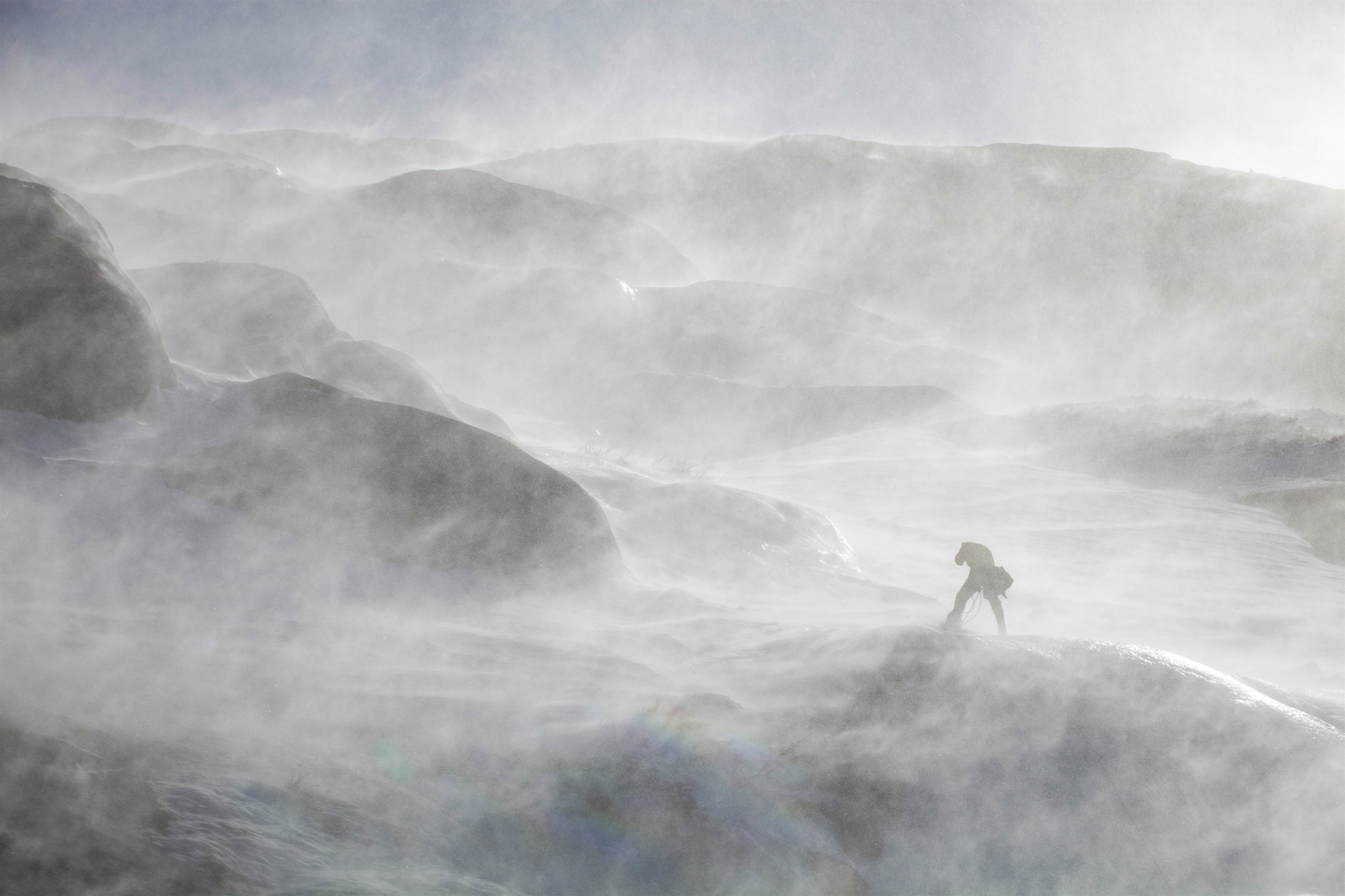 Strap In A Polar Coaster Could Be Heading For The Us Lonely