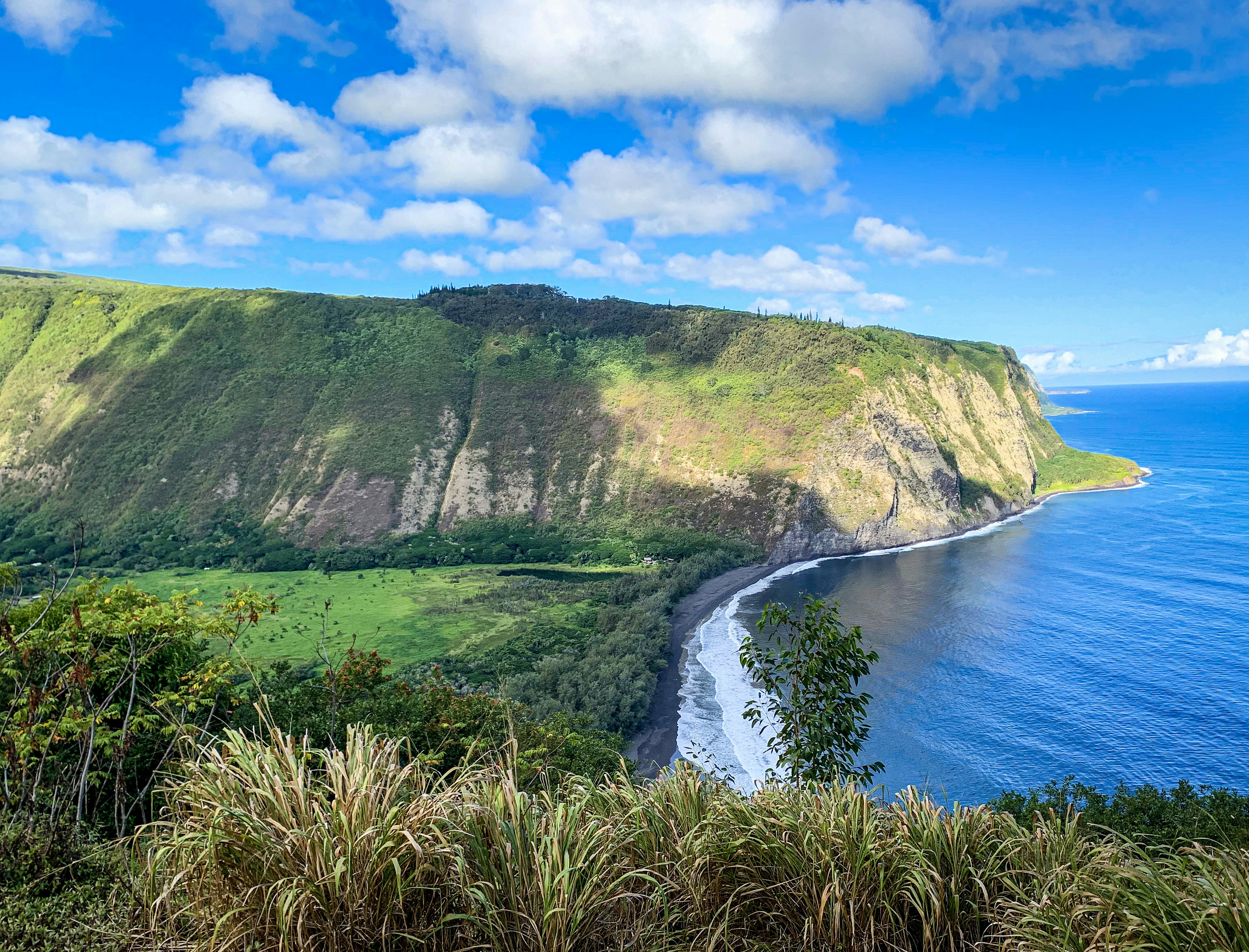 Utsikt från Waipi'o Valley, med en svart sandstrand nedanför och höga klippväggar i bakgrunden