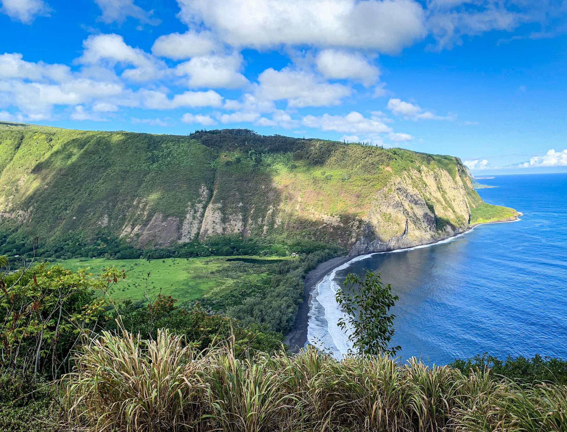 View from Waipi‘o Valley, with a black-sand beach below and high cliff walls in the background