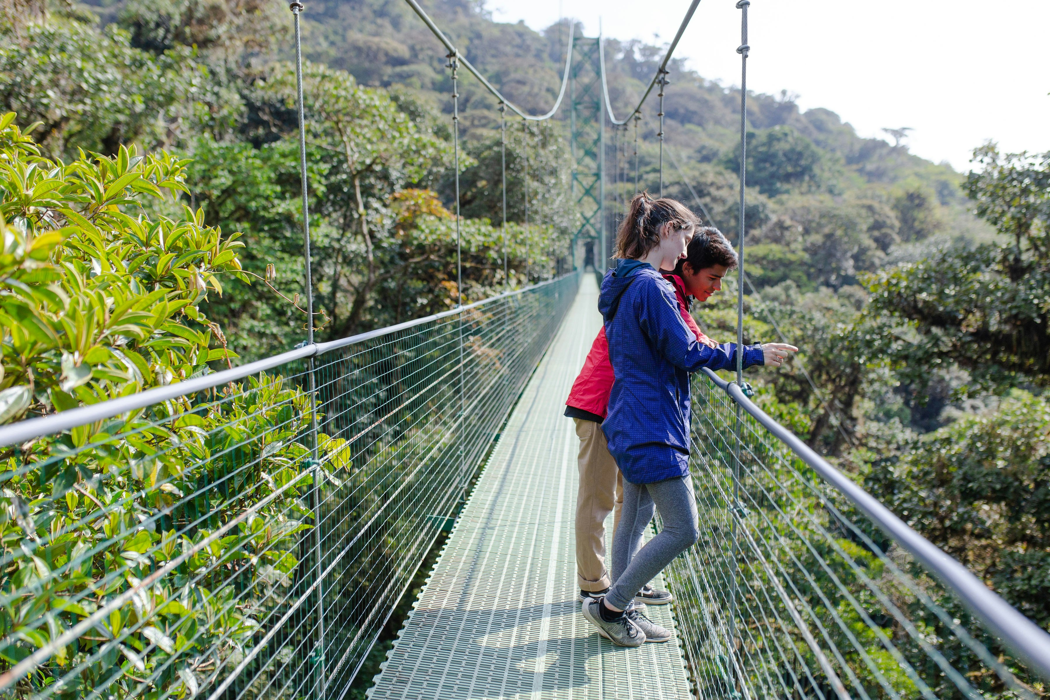 A couple stand on a suspended walkway in the tree tops; the image is looking down the length of the walkway, and it seems to go on forever.
