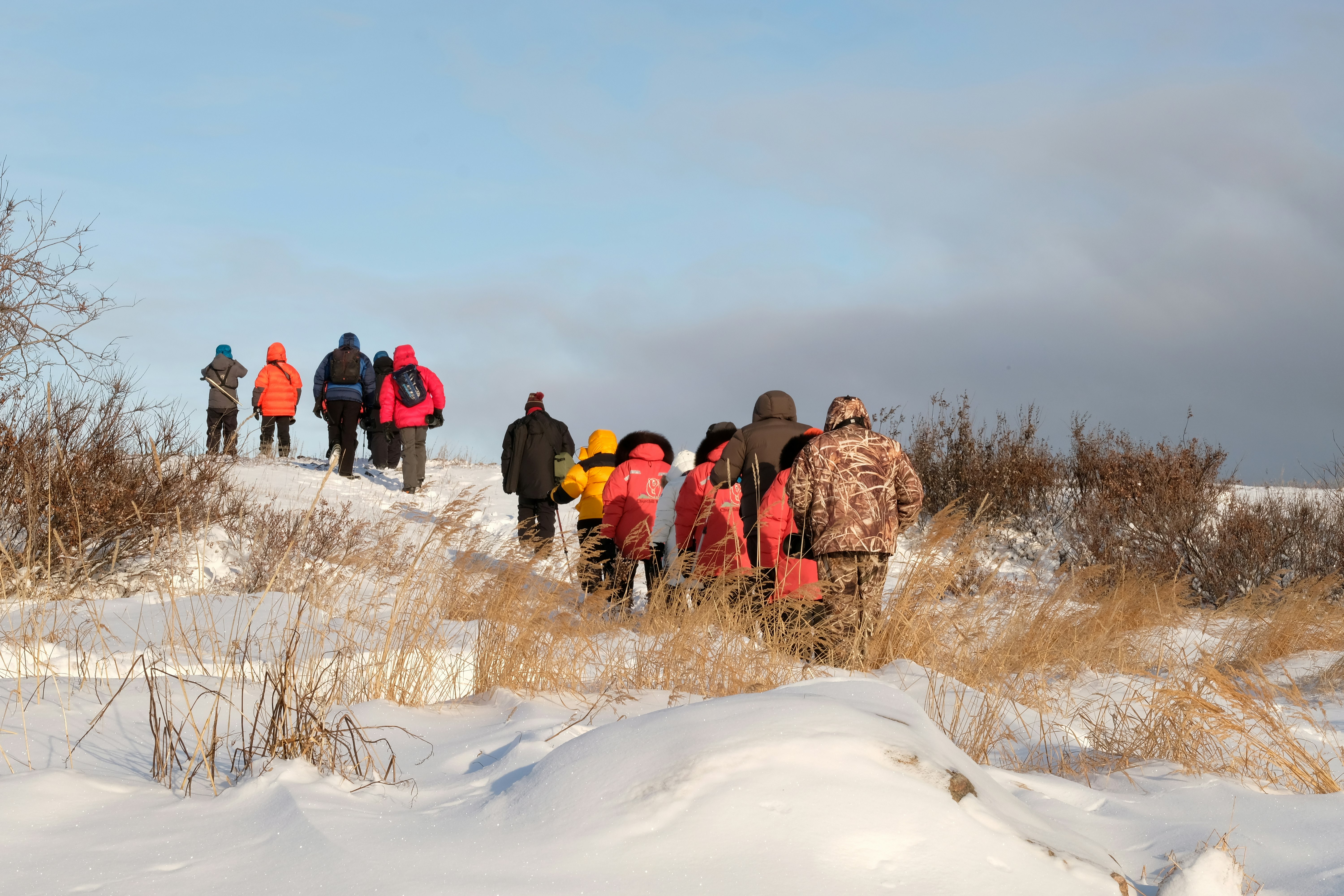 A group of people all wearing colorful padded winter clothing walk in single file over snowy ground