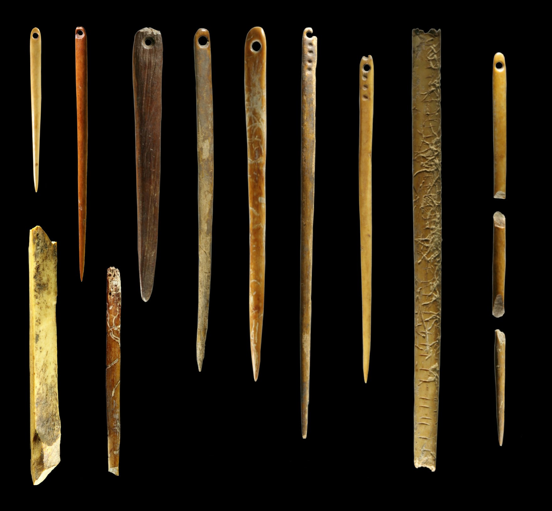 Walrus ivory needles