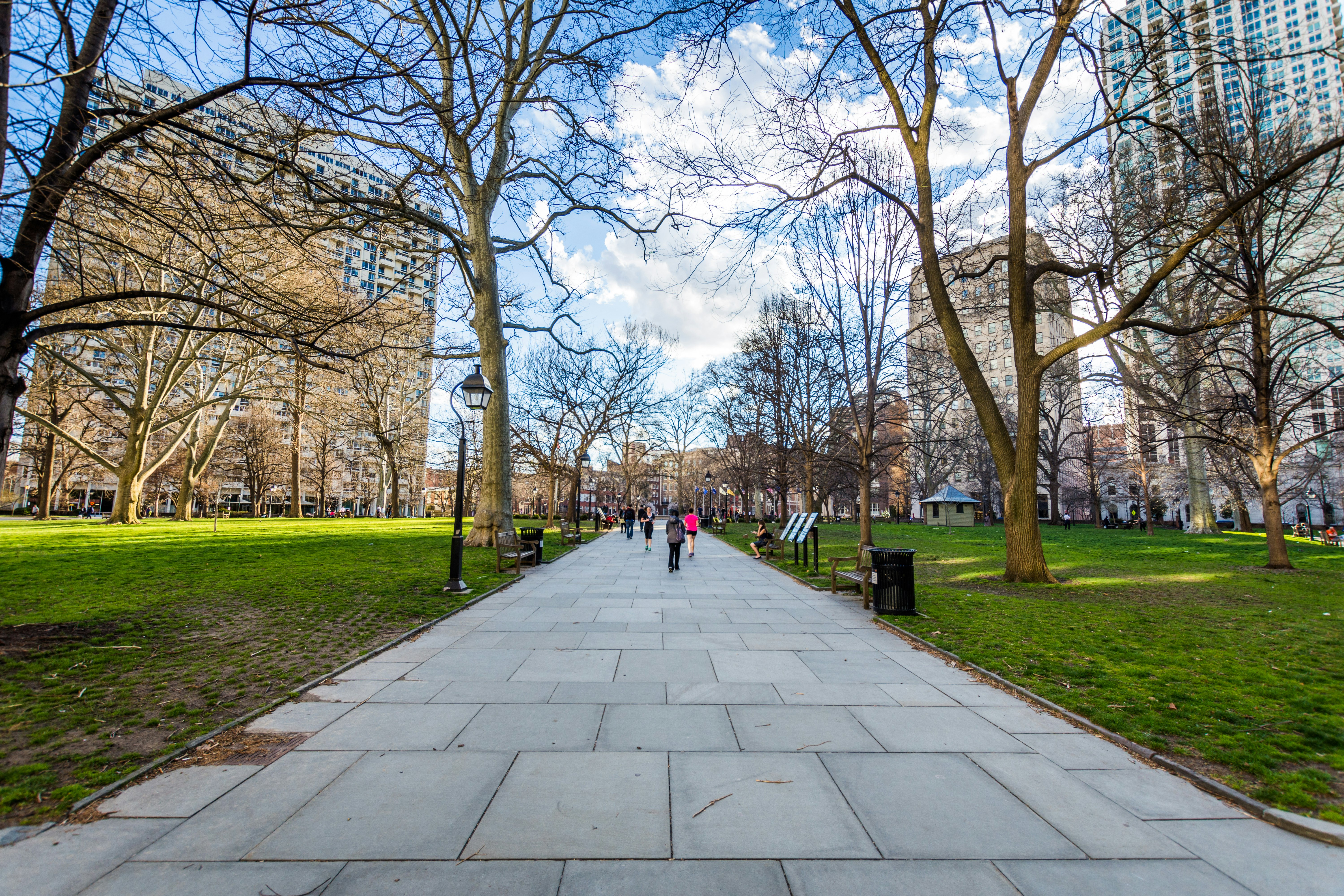 Washington Square Park, during the day. A path is visible between two pieces of grass; trees without their leaves are on along the path's edge. Large buildings are visible in the background.