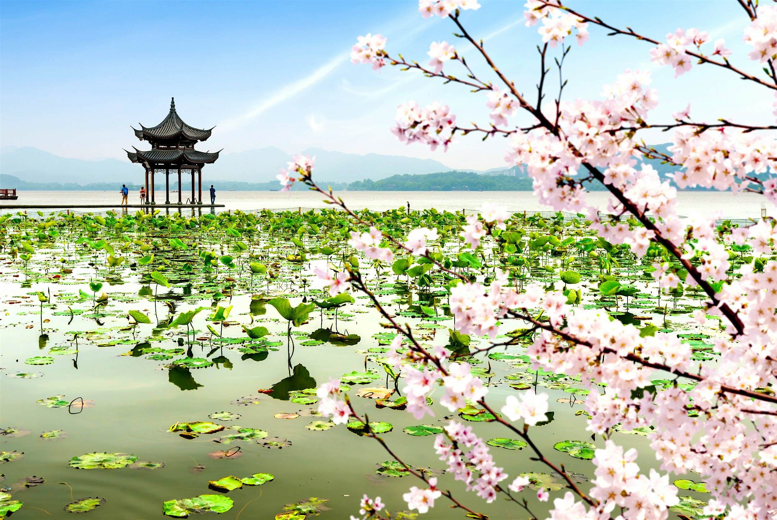 West Lake en China con flores de cerezo