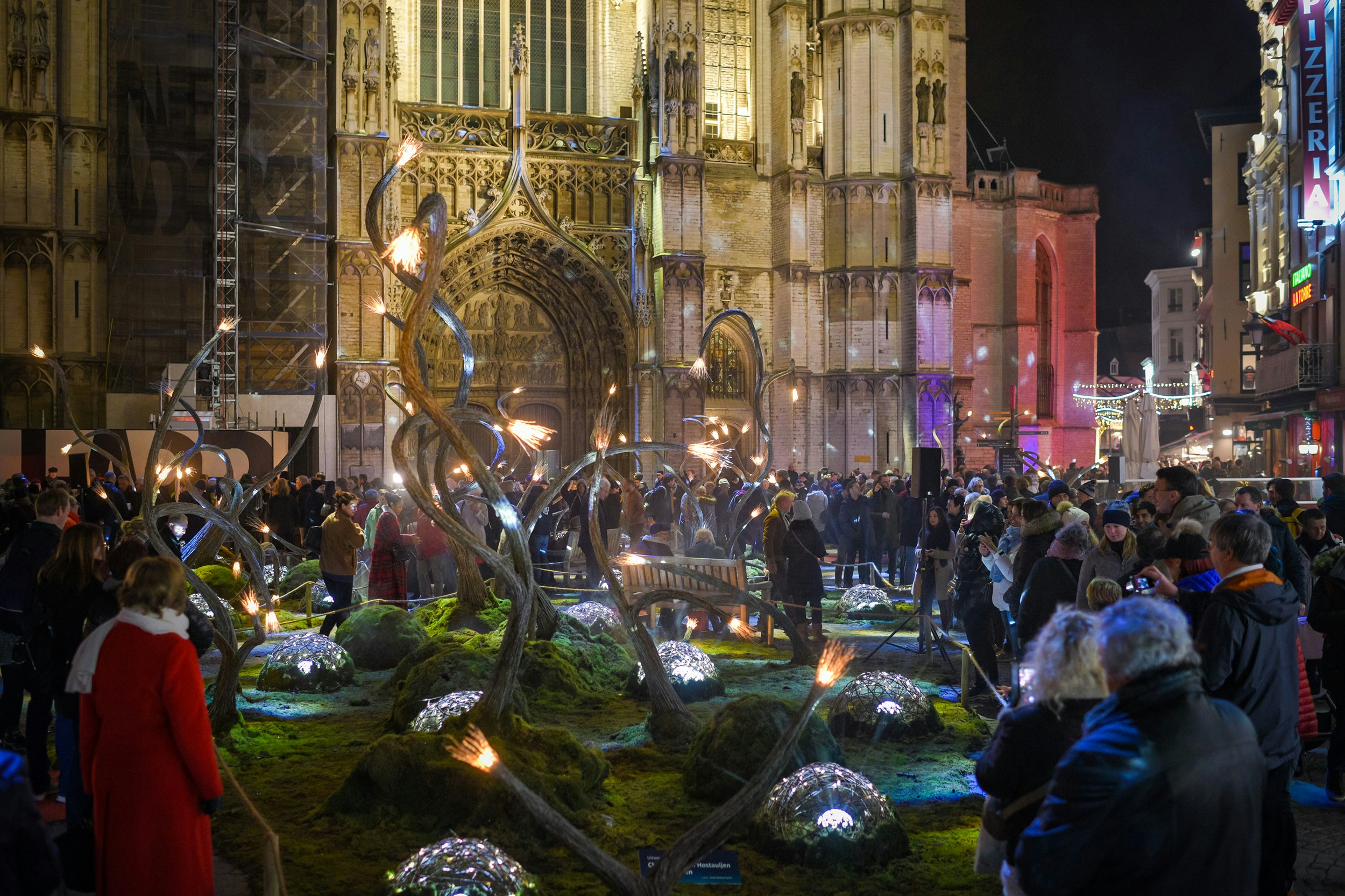 Illuminated willow tree sculptures in front of the cathedral at night