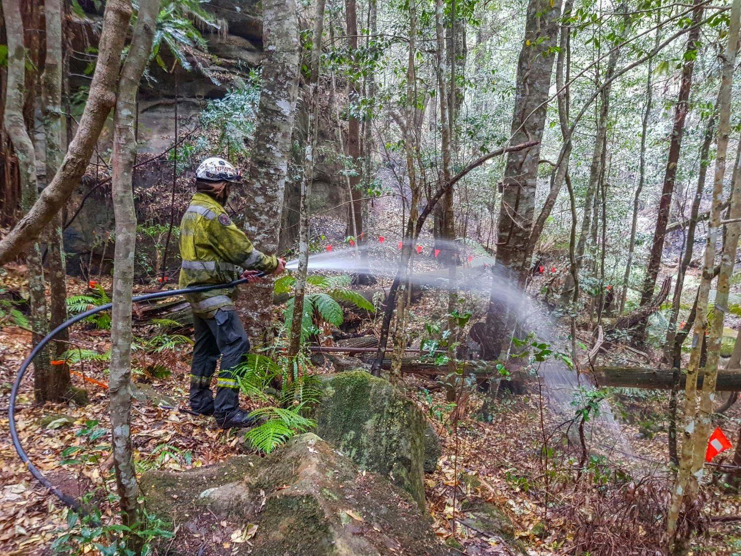 A firefighter irrigating a forest