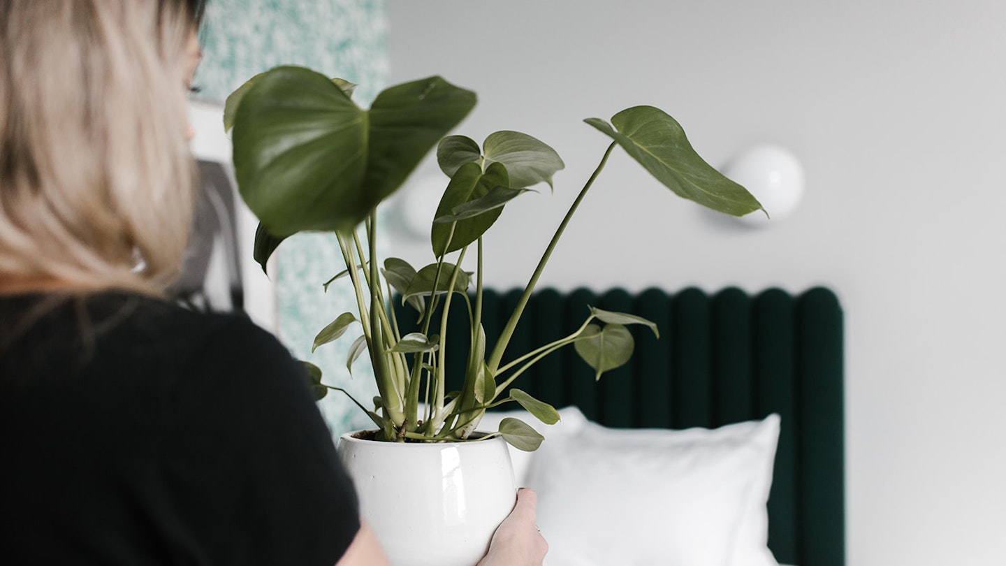 A woman holding a plant in a room at the Woodlark hotel in Portland, Oregon