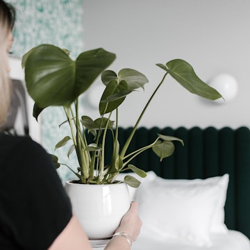 A woman holding a plant in a room at the Woodlark hotel in Portland, Oregon