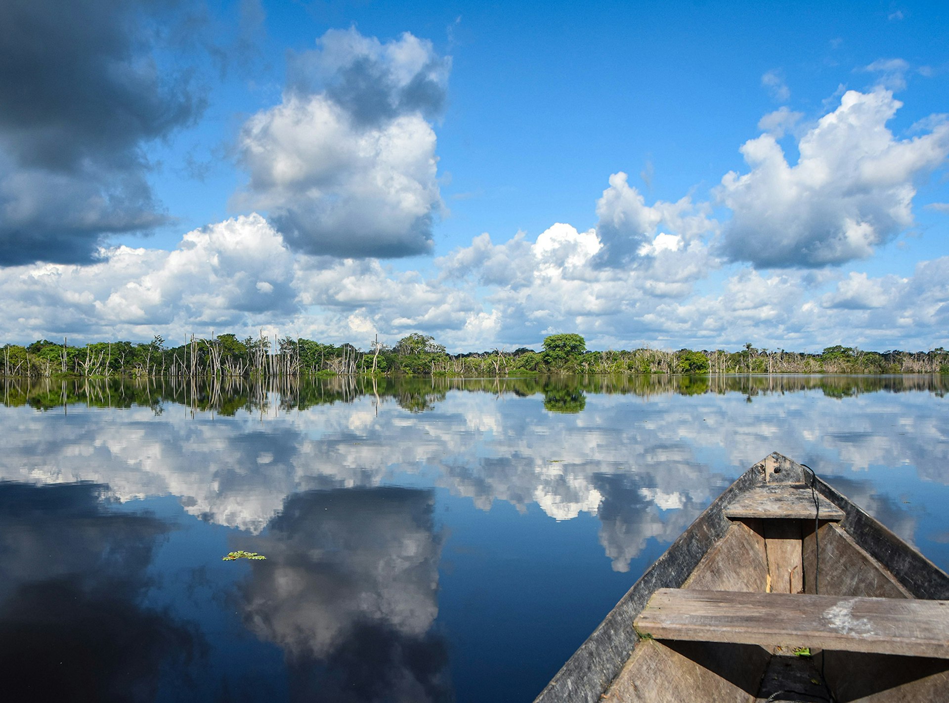 A view of the still water of Xixuau from a wooden canoe.