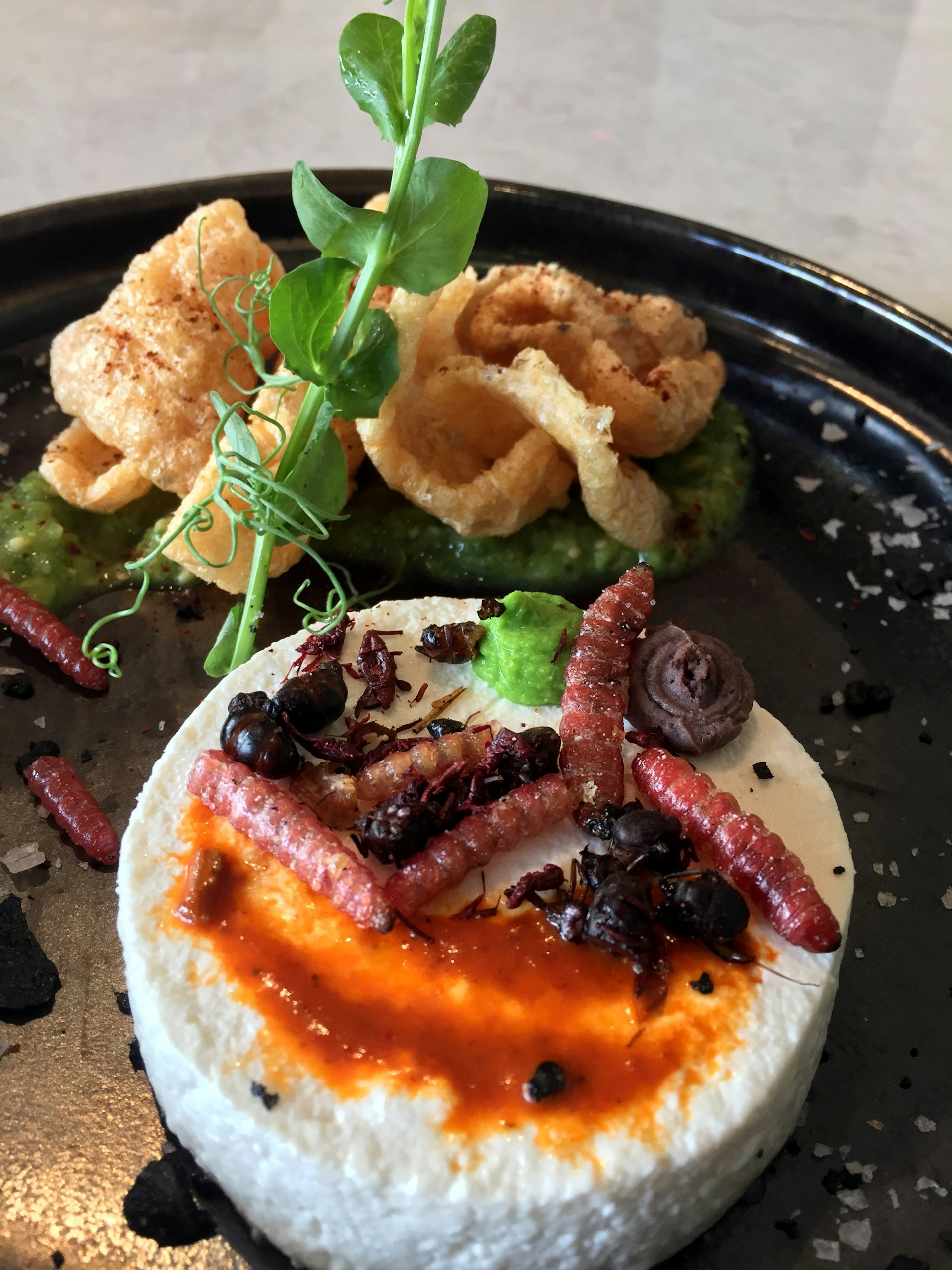 A serving of white queso is topped with red sauce, insect larvae, ants and grasshoppers. In the back are chicharrones in a green sauce. 