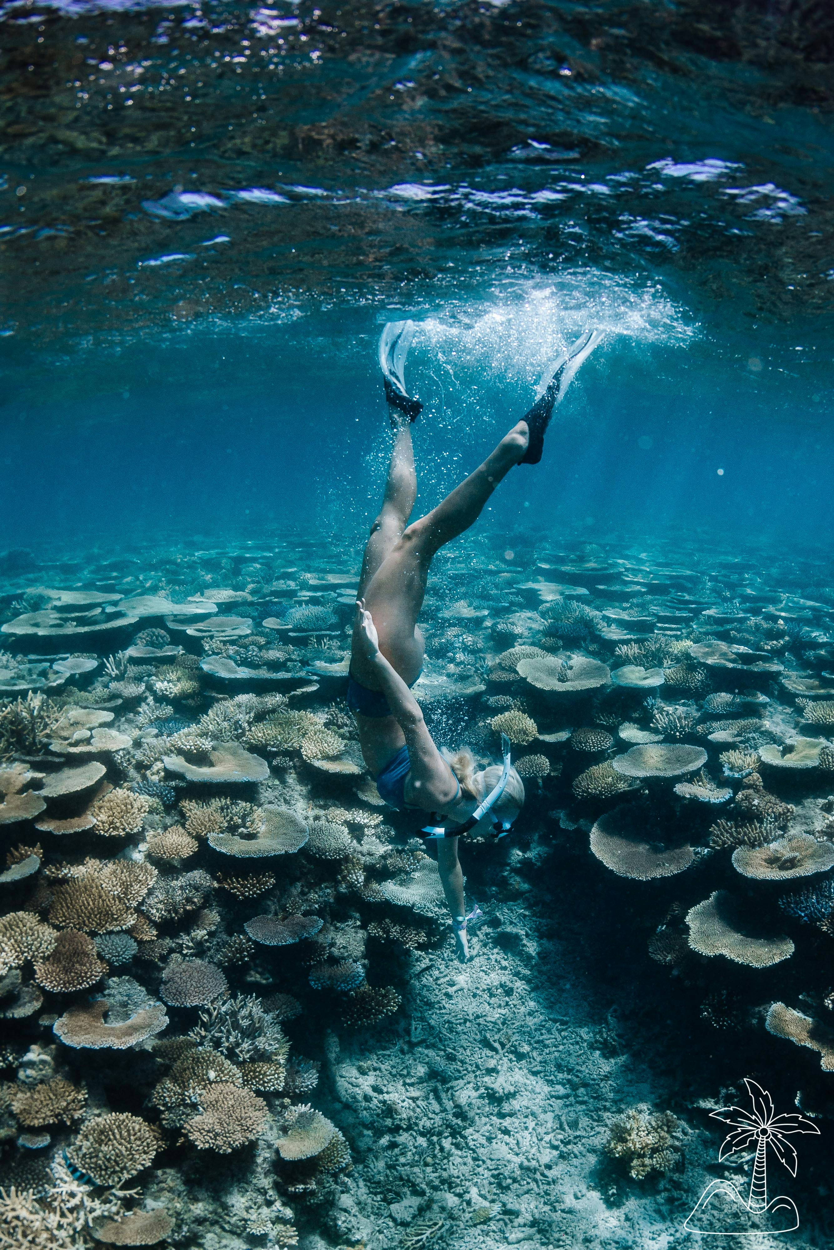 A festival-goer diving down to the coral weating a blue bikini, flippers, mask and snorkel at Your Paradice Festival in Mamanuca Islands, Fiji