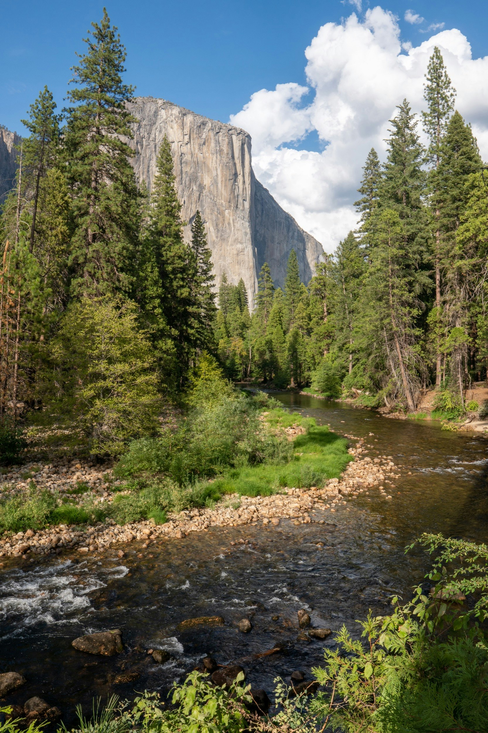 El Capitan rises up above a river; How to photograph Yosemite like Ansel Adams