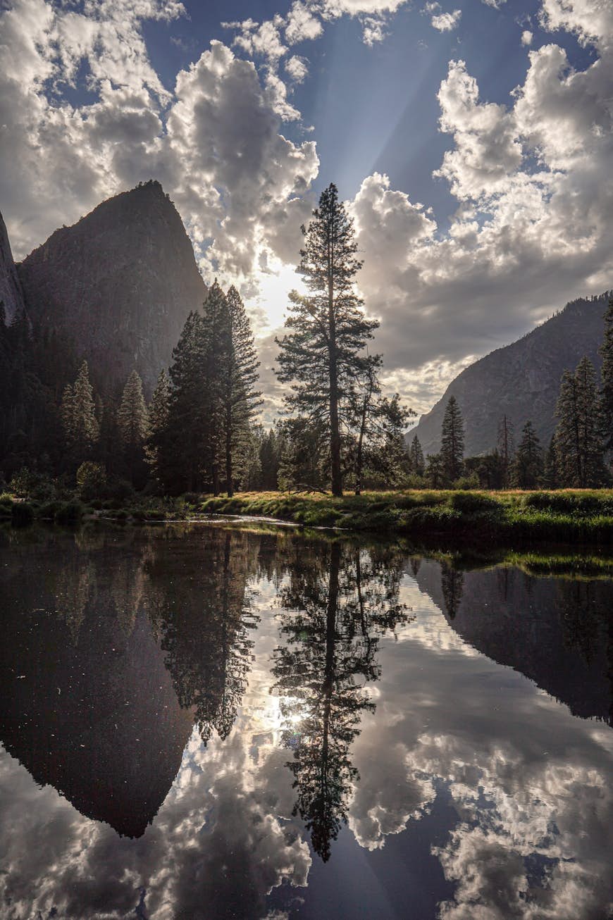 Ett träd är bakgrundsbelyst av sol och moln när det reflekteras i en flodpool;  hur man fotograferar Yosemite som Ansel Adams