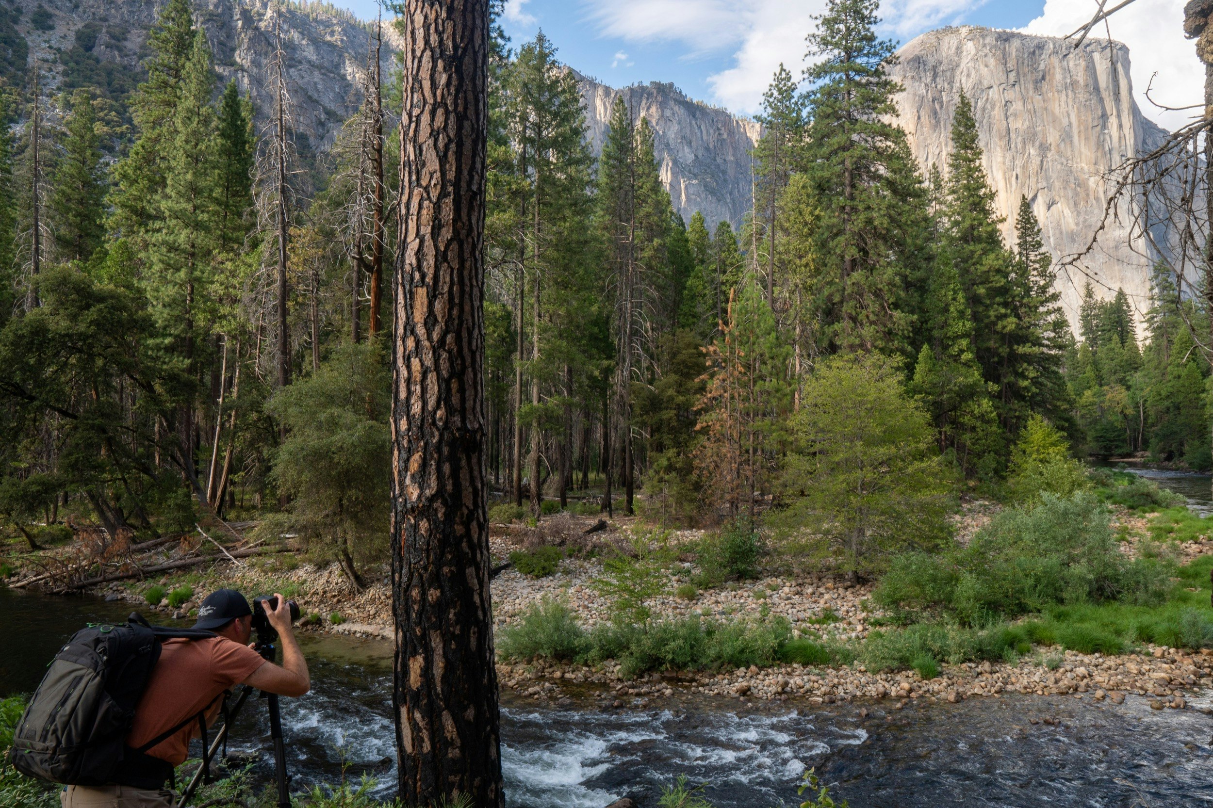 A man takes a photo of El Capitan; How to photograph Yosemite like Ansel Adams