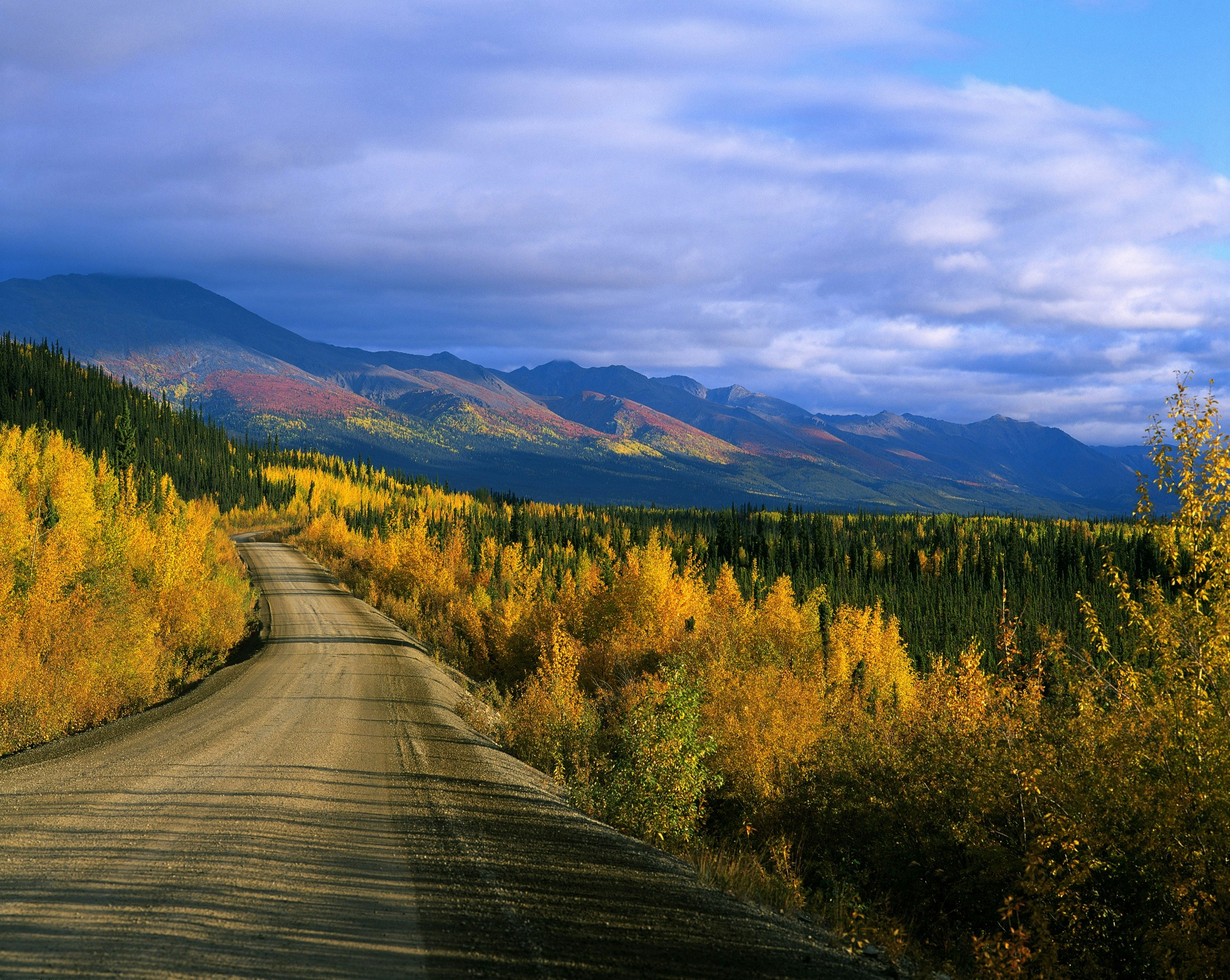 Golden leaves dominate the forests on the edges of a gray shale road as a sunbeam highlights russet, crimson and orange hues on a set of mountains in the distance