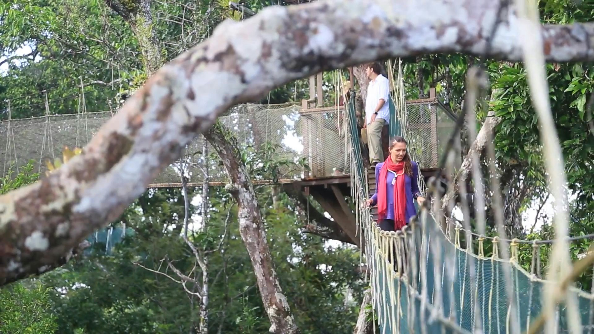 A large branch of a tree cuts across the forest-filled image, below which extends a suspended rope walkway; on the walkway, heading towards the camera, is a woman with a red scarf; a man waits on the platform behind her.