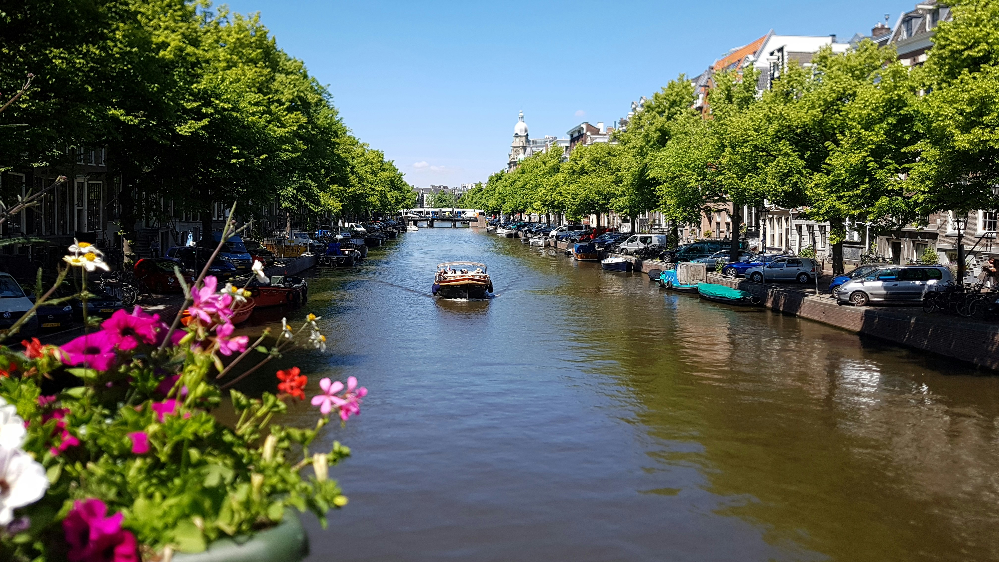 amsterdam canal 3.jpg