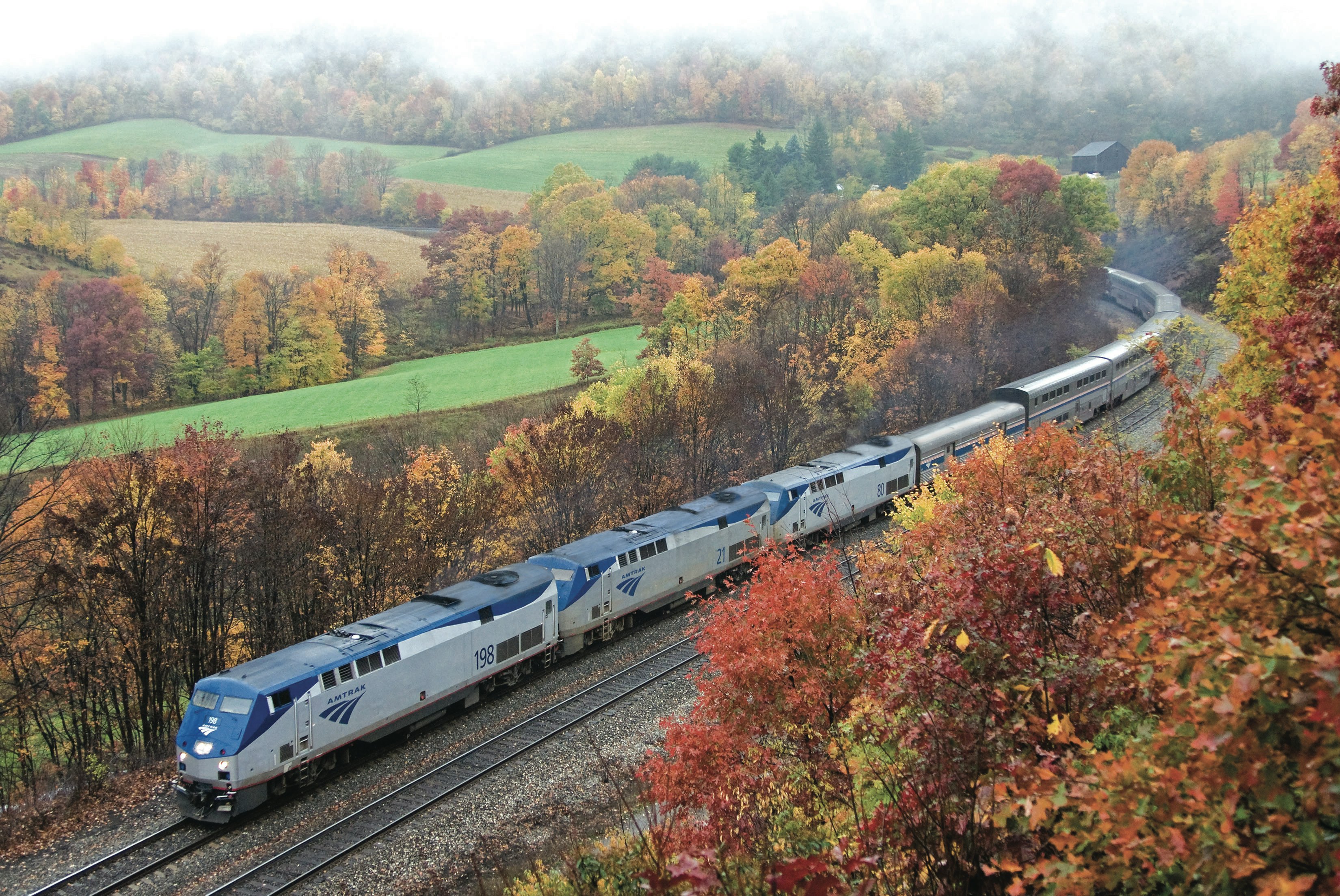 Amtrak train crossing fields at the peak of fall foliage
