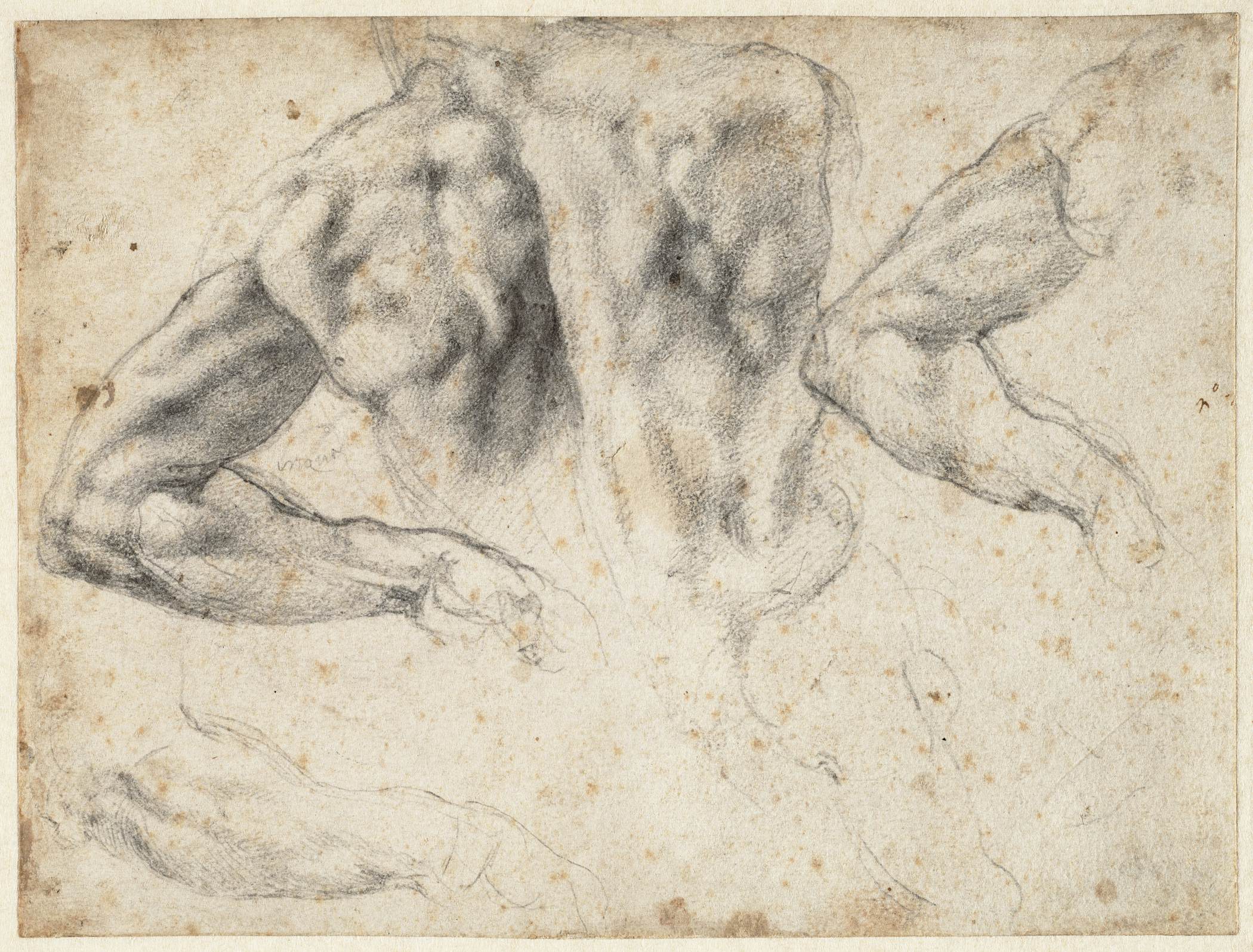 Michelangelo Buonarroti  Life Drawing Academy
