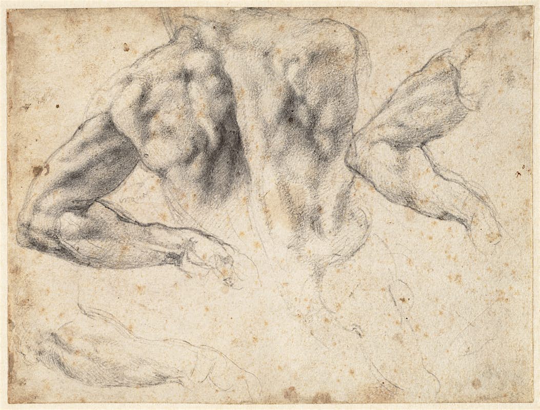 A group of unique Michelangelo's sketches is coming to the US for the