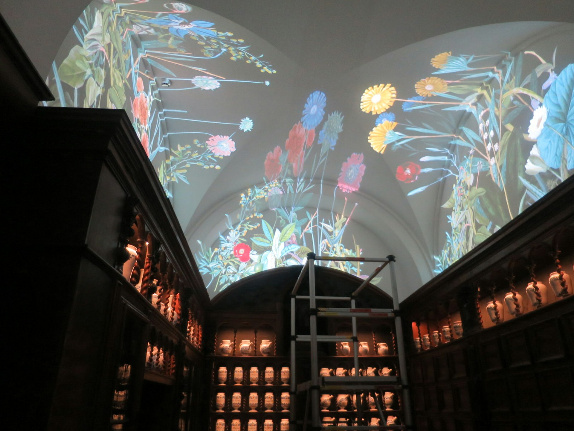 The apothecary display with video installations on the white domed ceiling, surrounded by bookshelves at Cité Internationale de la Gastronomie