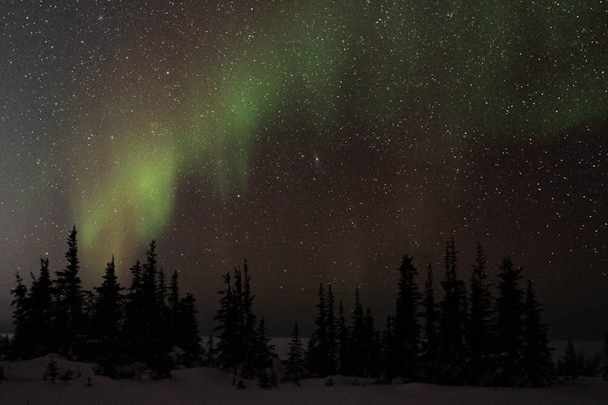 Aurora borealis mot en mycket stjärnklar himmel ovanför en mörk skog.  Den här gången framstår de som en otydlig strimma av grönt med orange färgtoner.